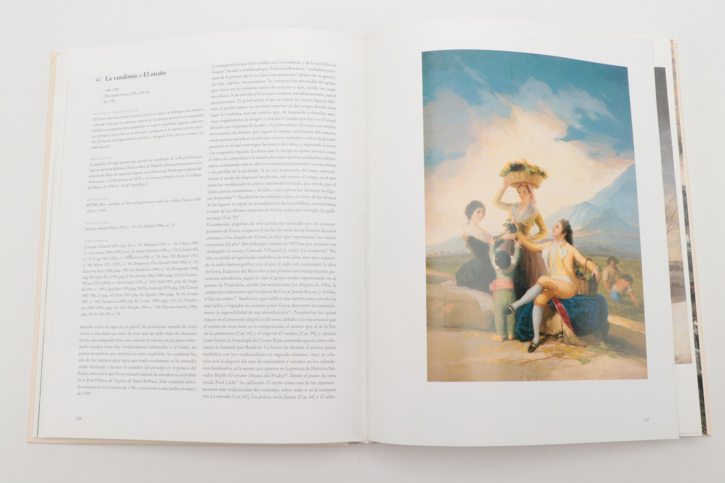 Francisco Goya and Leonardo da Vinci Art Reference Books