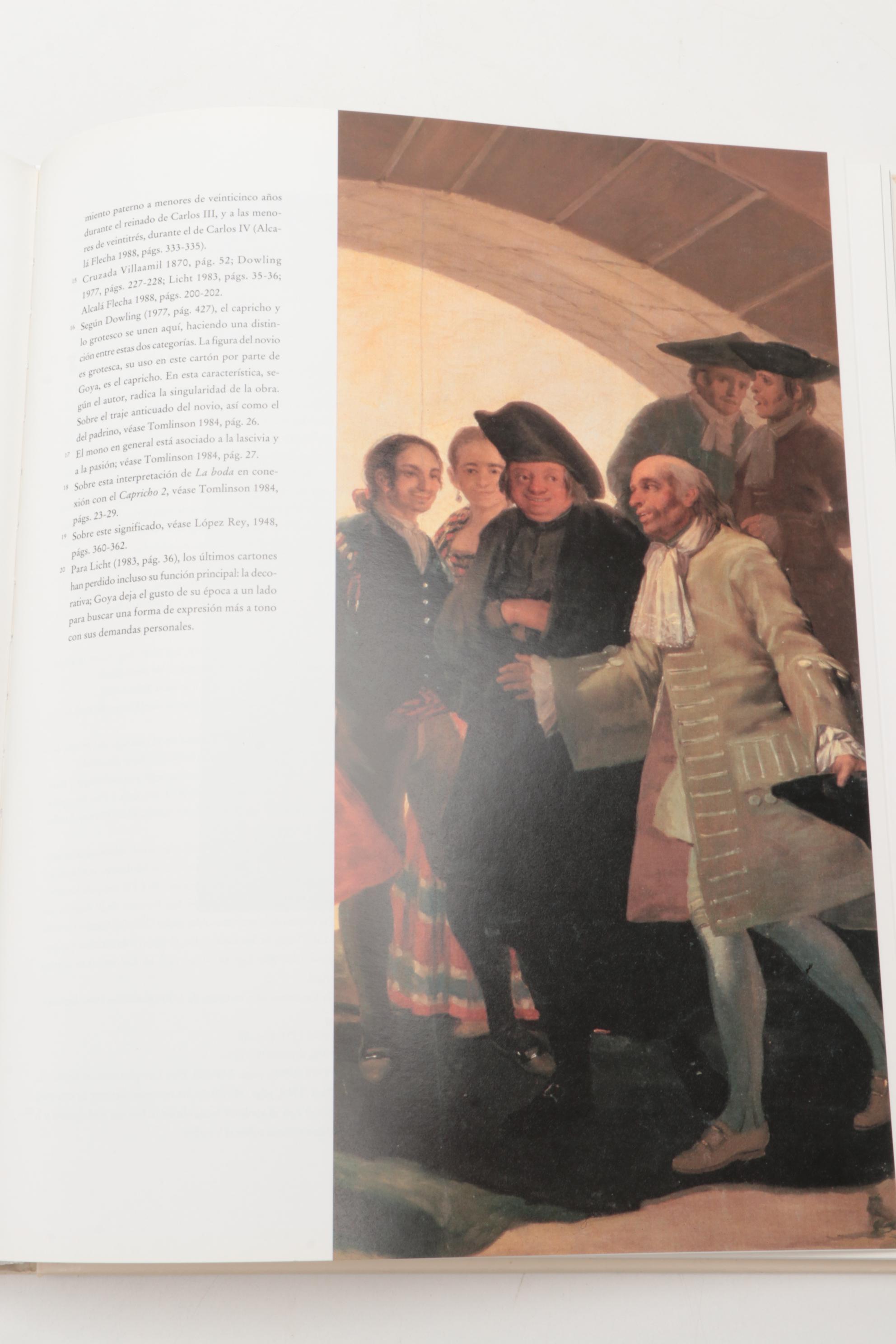 Francisco Goya and Leonardo da Vinci Art Reference Books