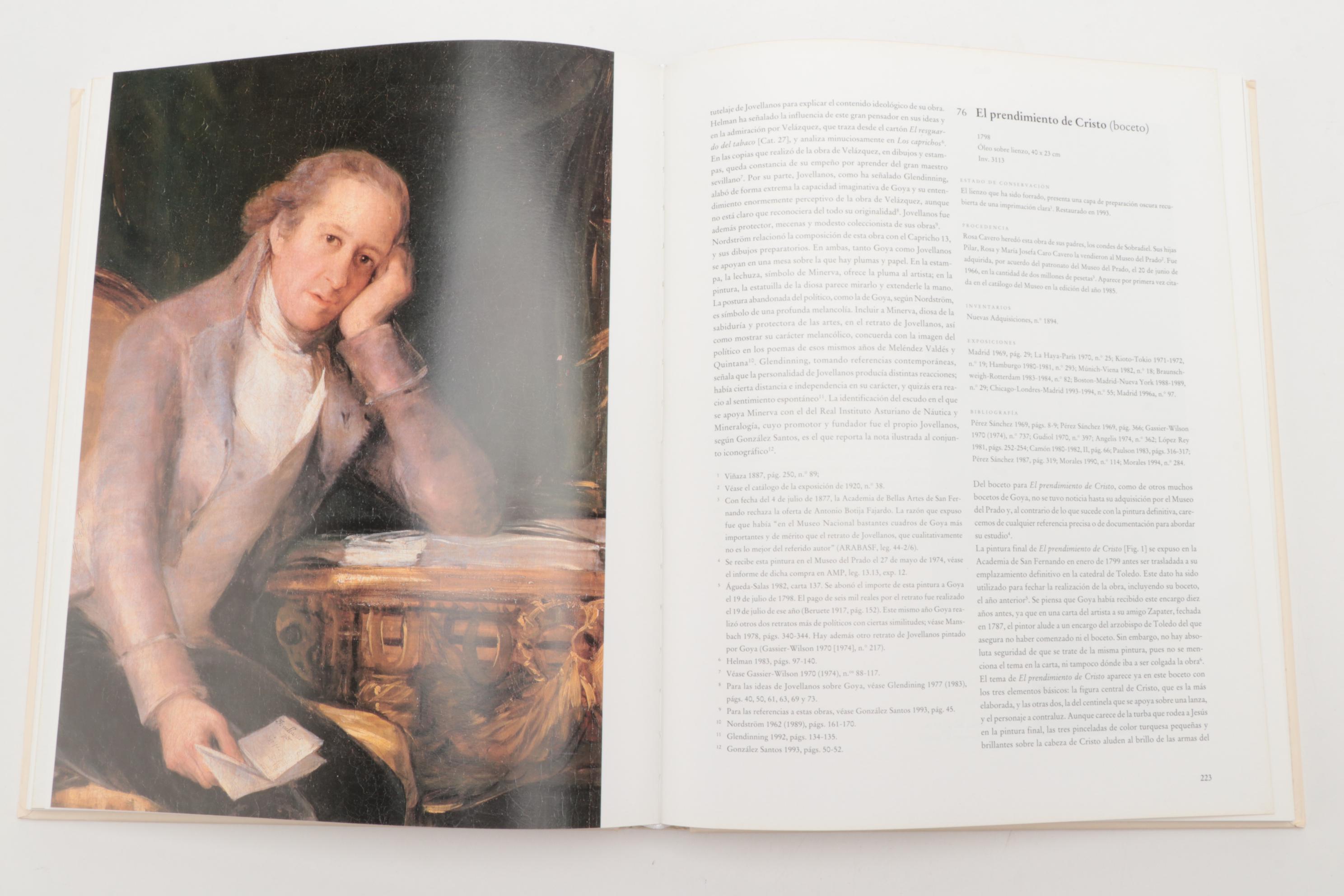 Francisco Goya and Leonardo da Vinci Art Reference Books