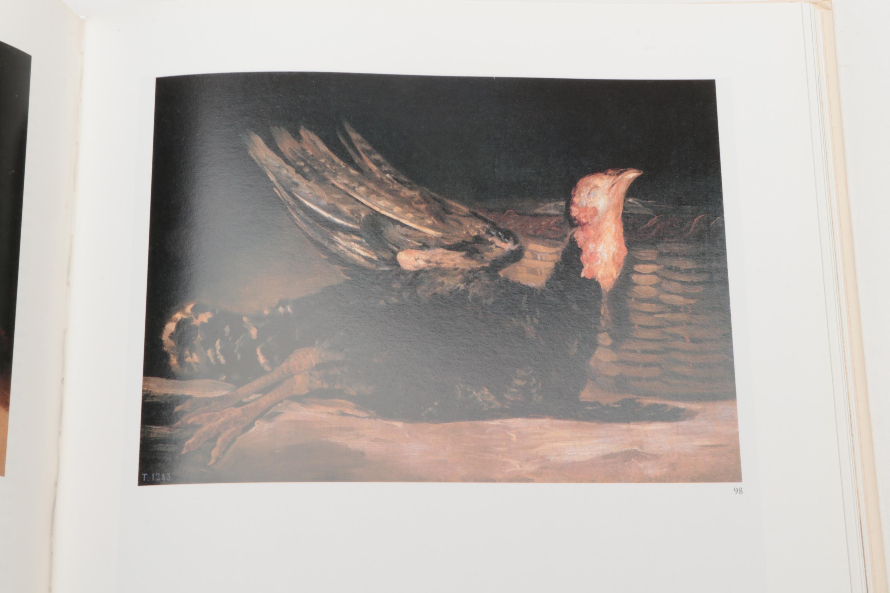 Francisco Goya and Leonardo da Vinci Art Reference Books