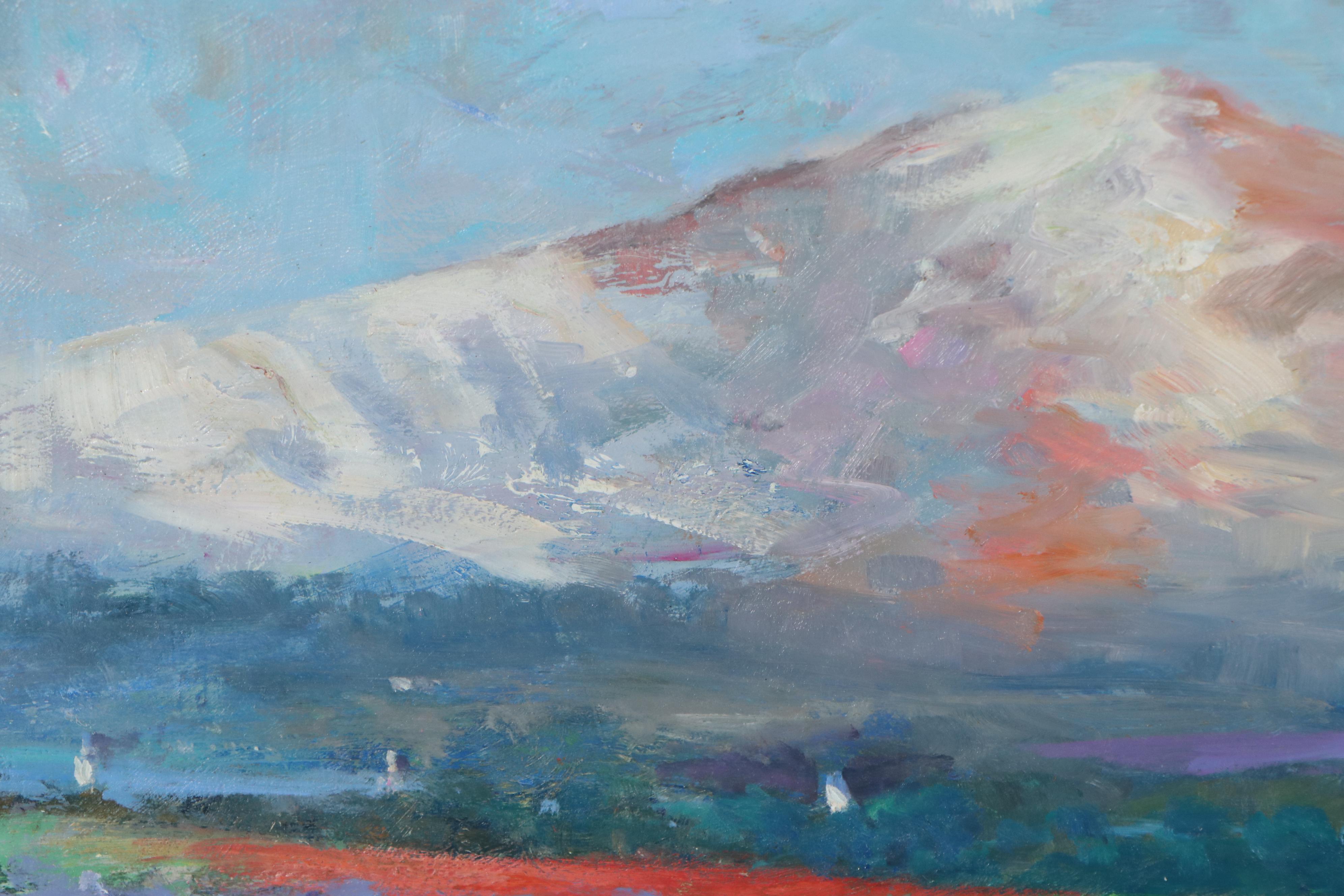 Nino Pippa Oil Painting "In Van Gogh's Footsteps - Rhone Valley Irises Field"