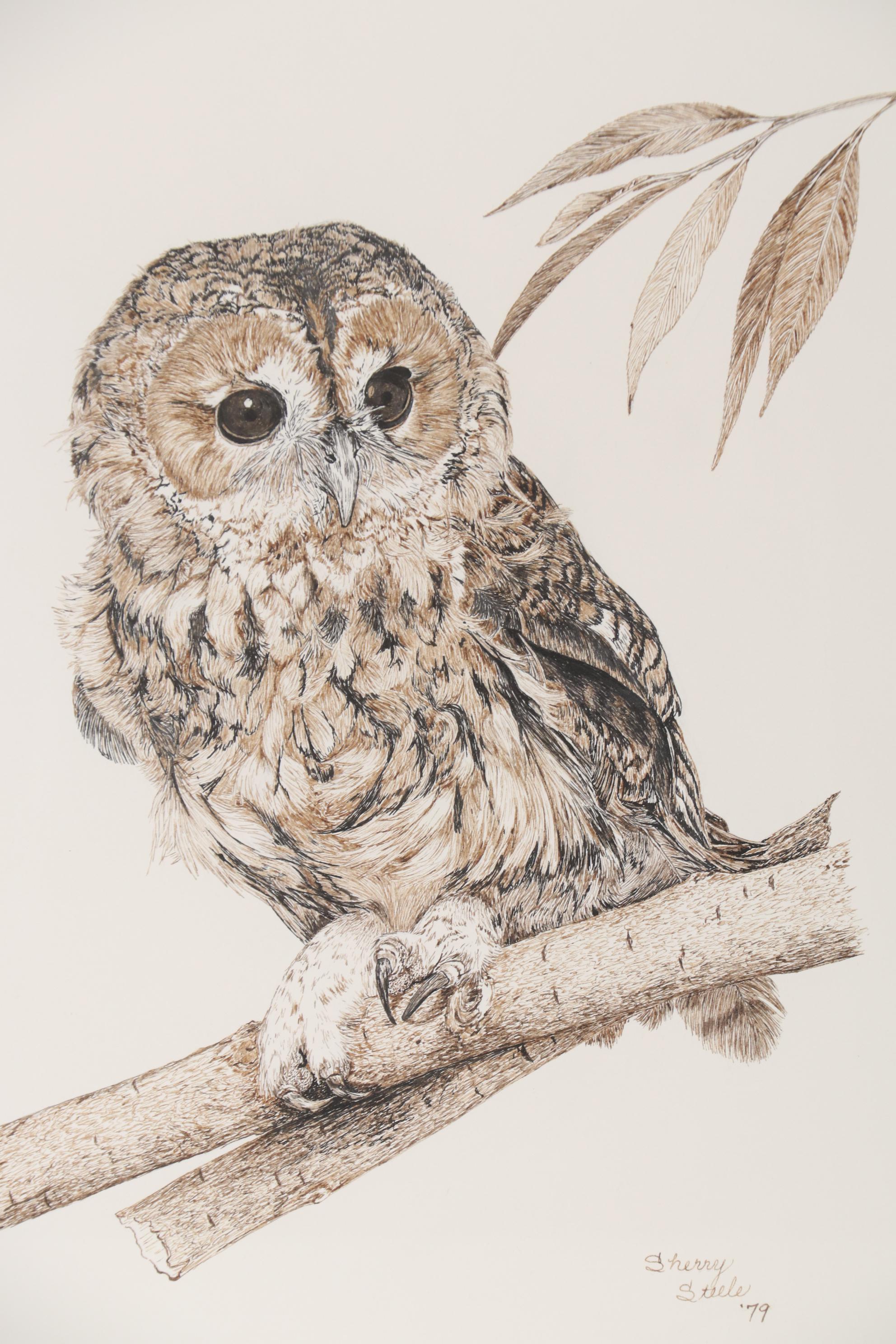 Sherry Steele Ink Drawing of an Owl, 1979