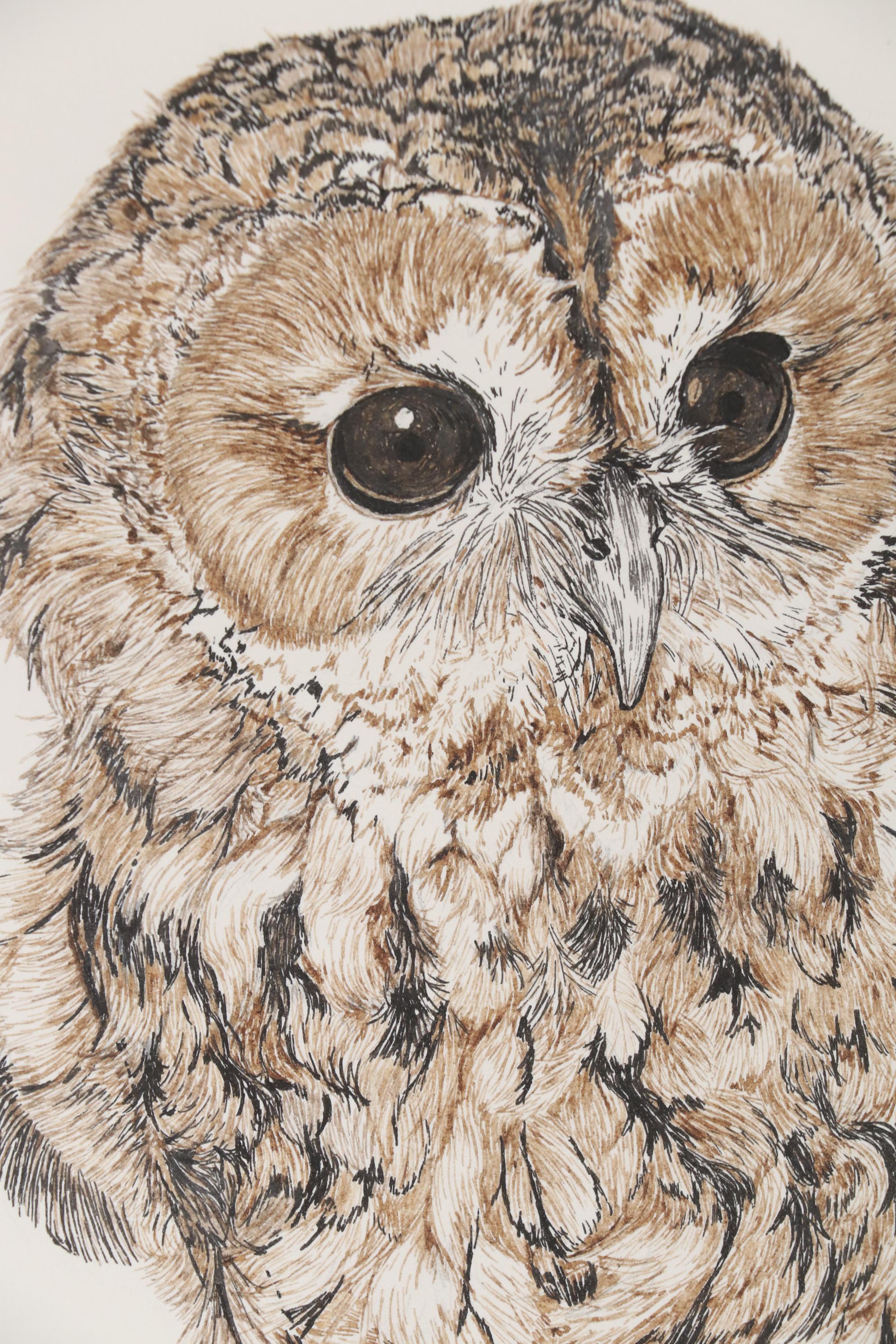 Sherry Steele Ink Drawing of an Owl, 1979