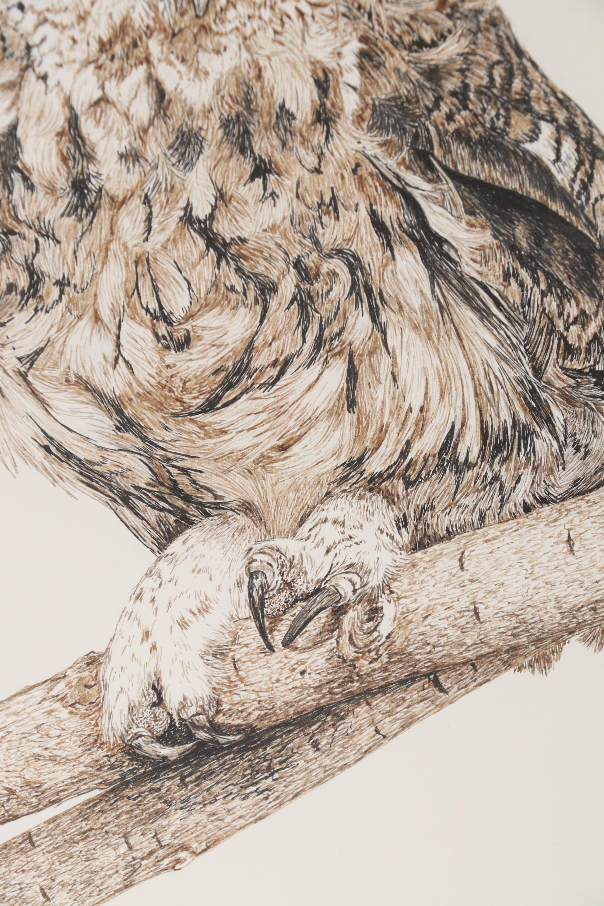 Sherry Steele Ink Drawing of an Owl, 1979