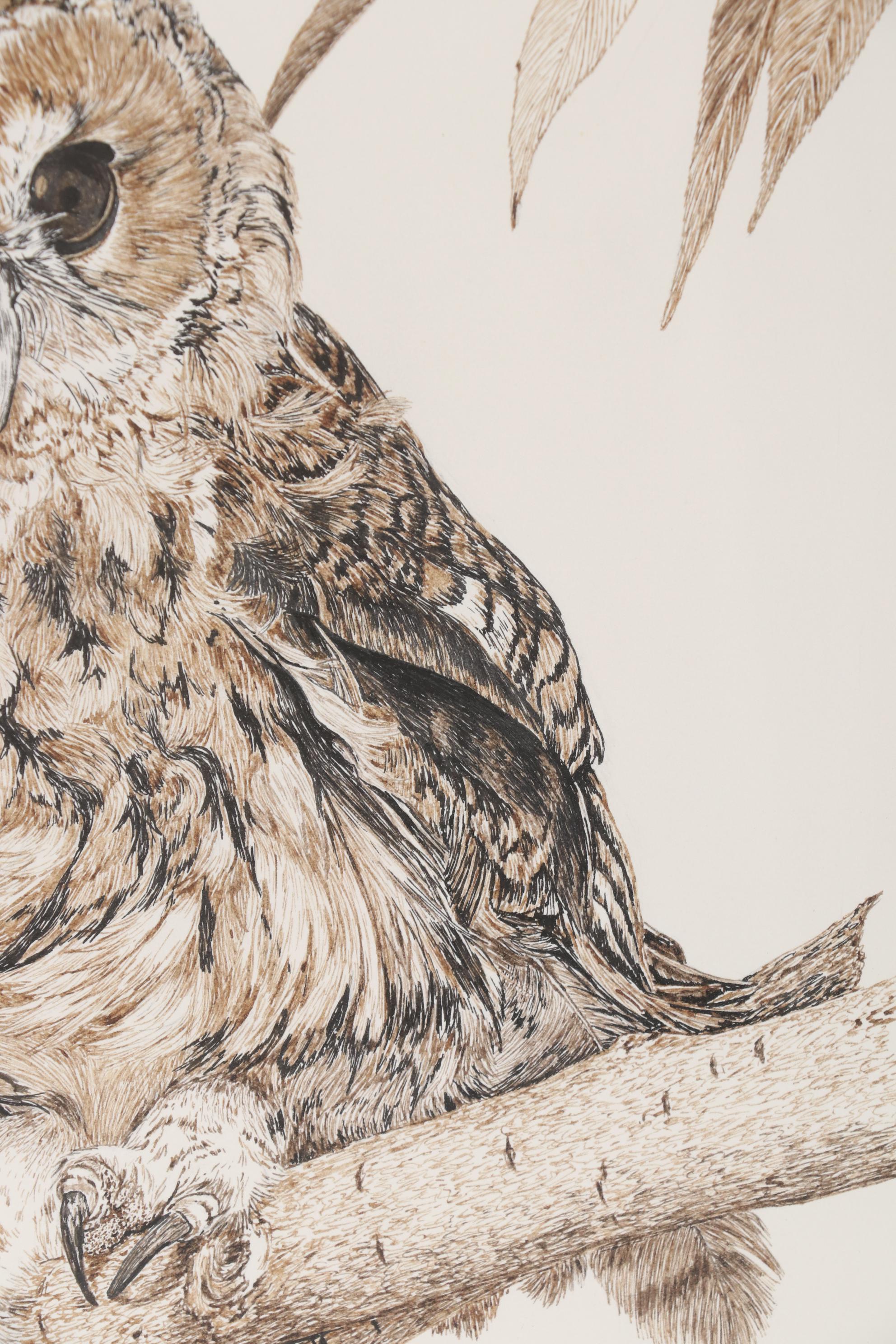 Sherry Steele Ink Drawing of an Owl, 1979