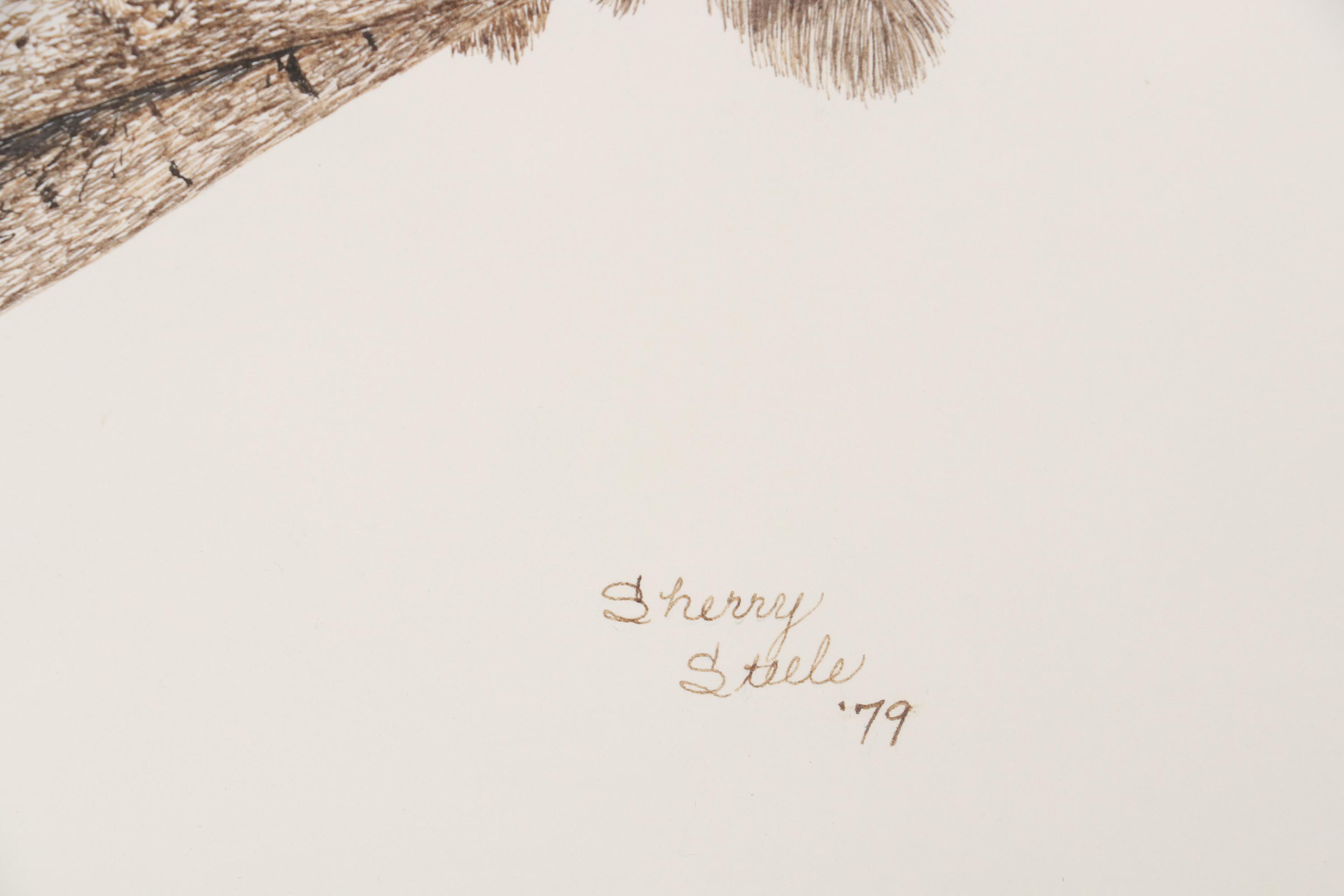 Sherry Steele Ink Drawing of an Owl, 1979
