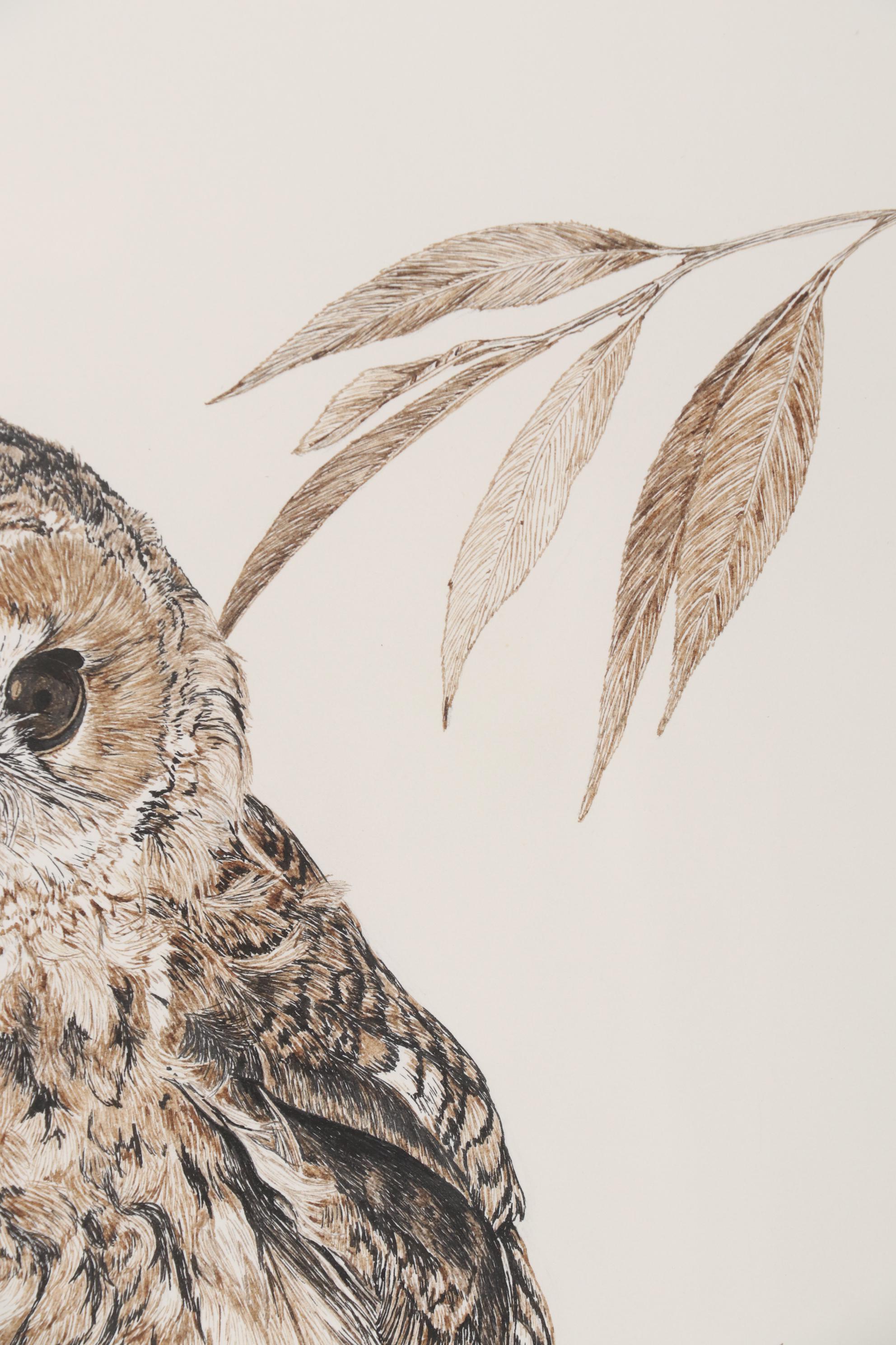 Sherry Steele Ink Drawing of an Owl, 1979