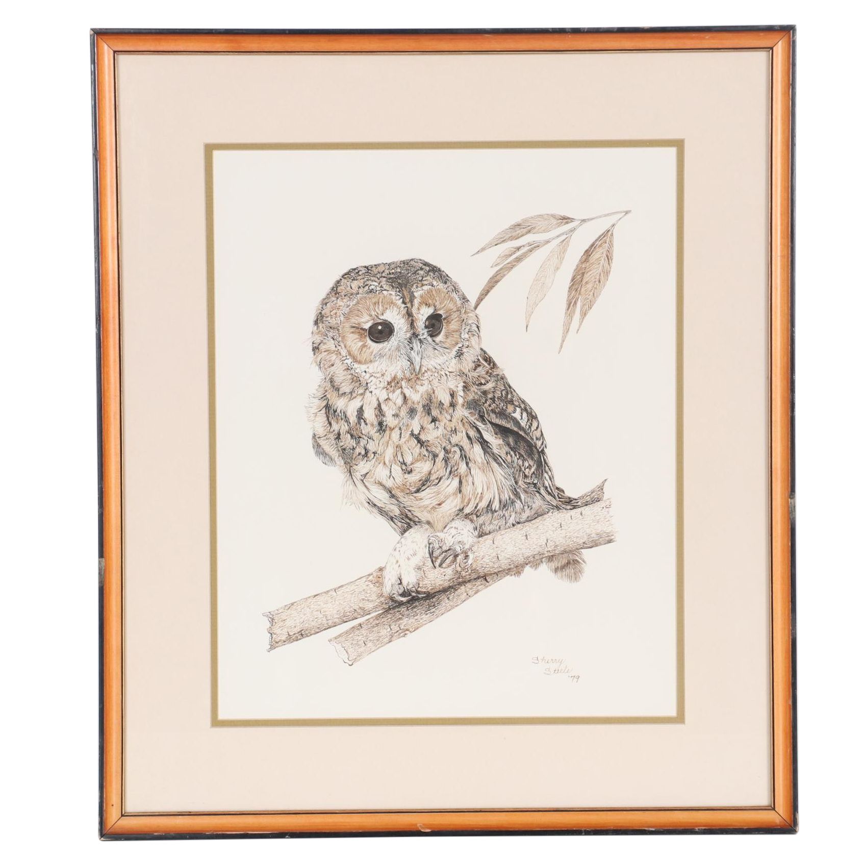 Sherry Steele Ink Drawing of an Owl, 1979