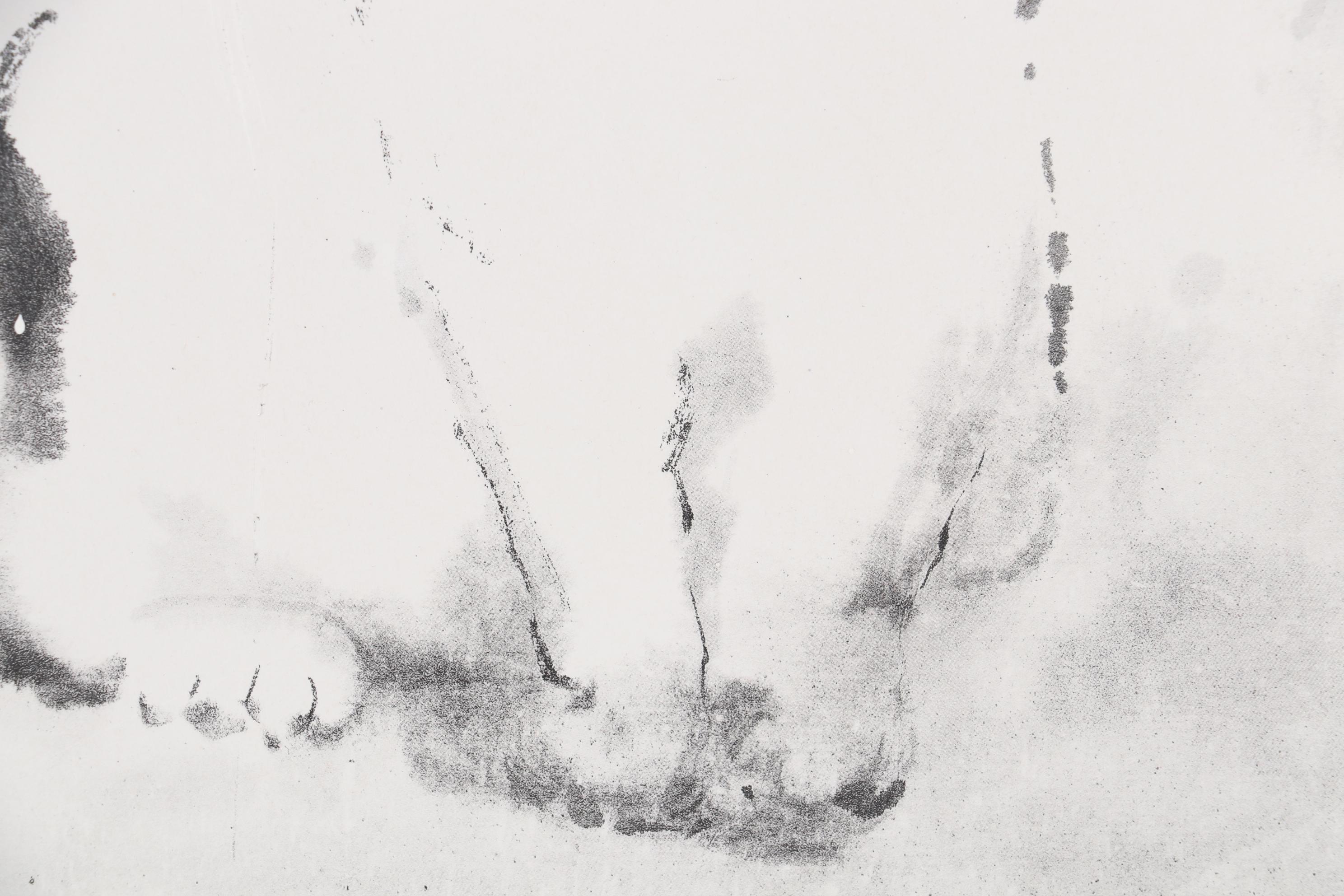 Offset Lithographs after Dehong Chen including "Oriental Cat II," 2010