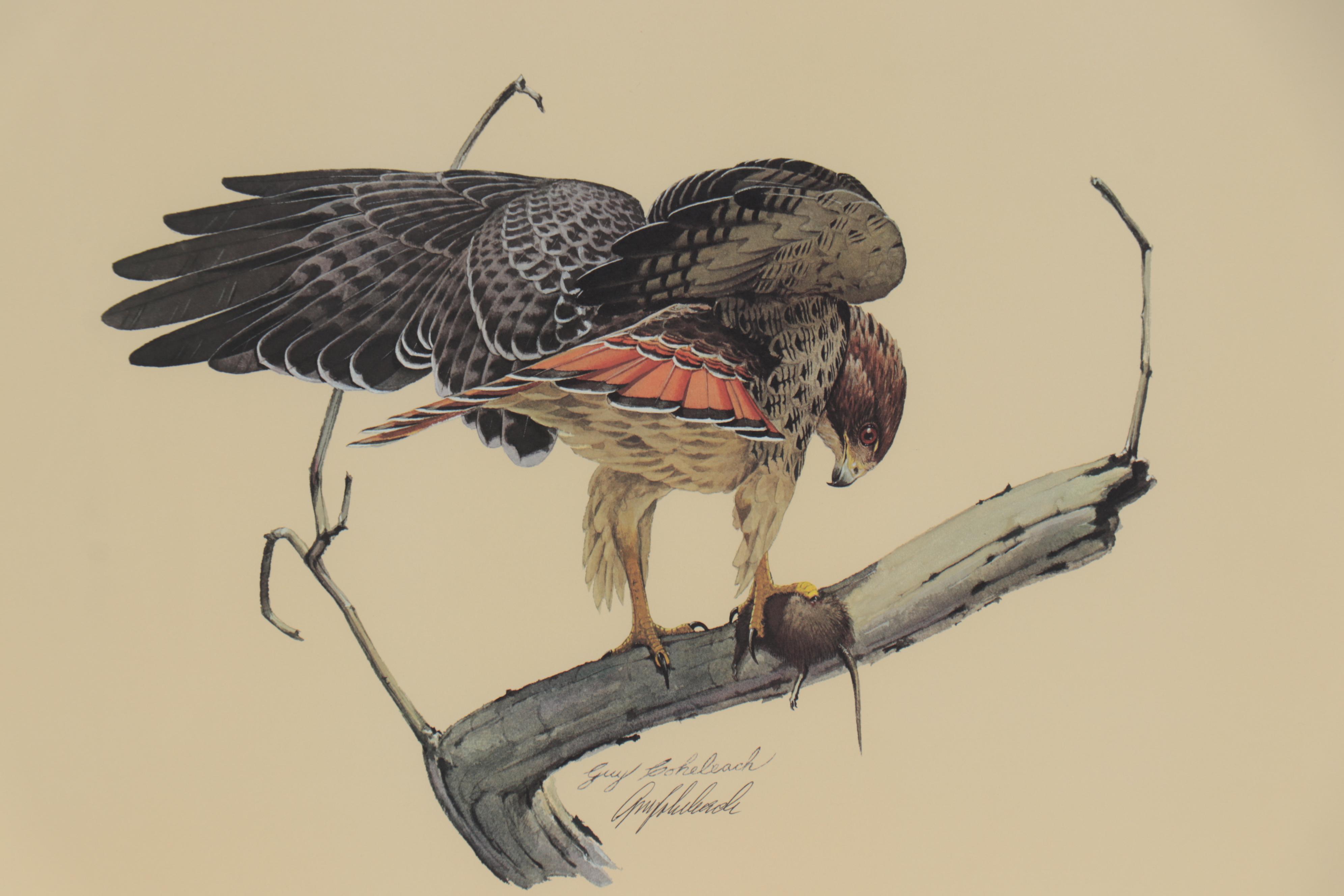Guy Coheleach Offset Lithograph "The Redtail Hawk," 21st Century