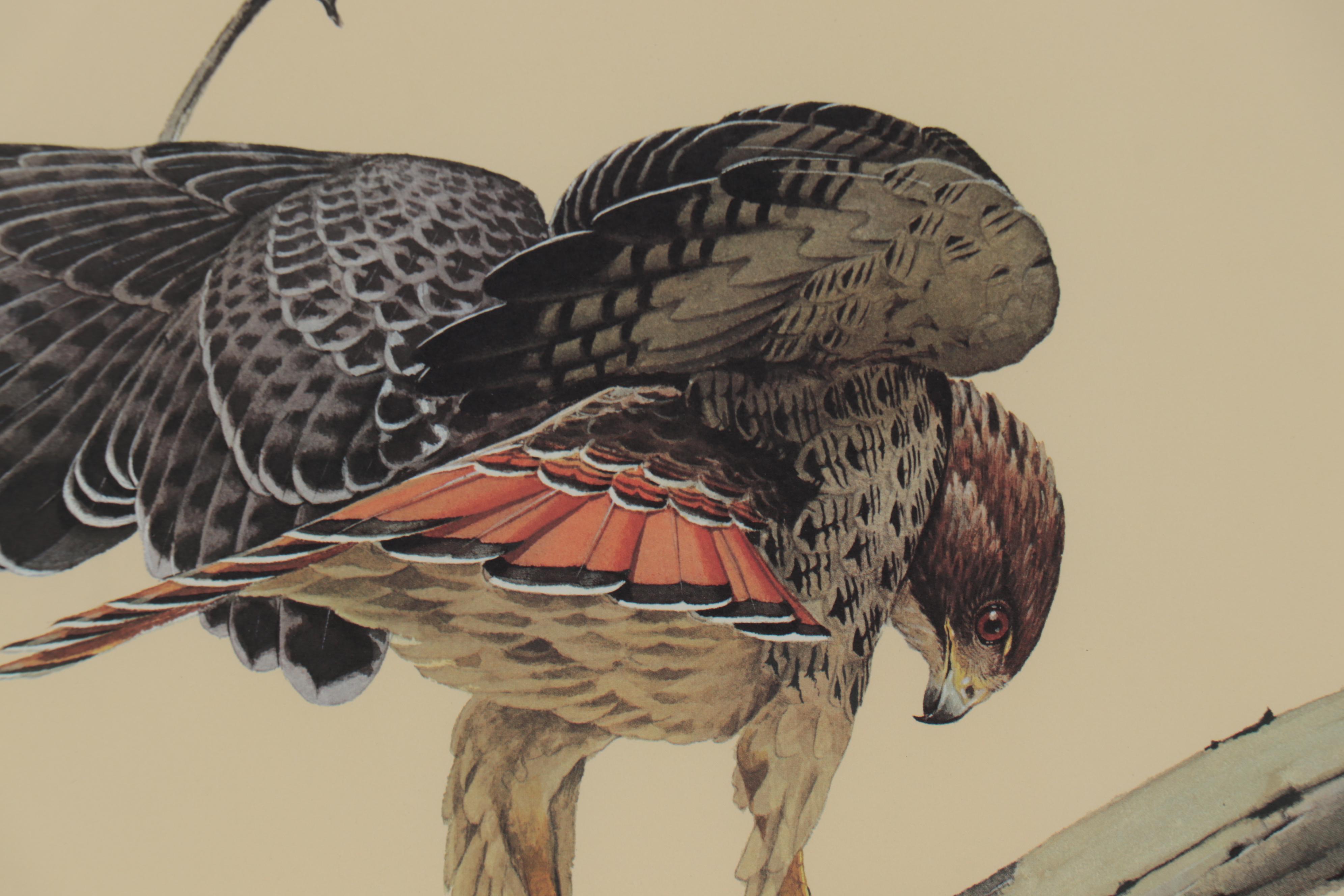 Guy Coheleach Offset Lithograph "The Redtail Hawk," 21st Century