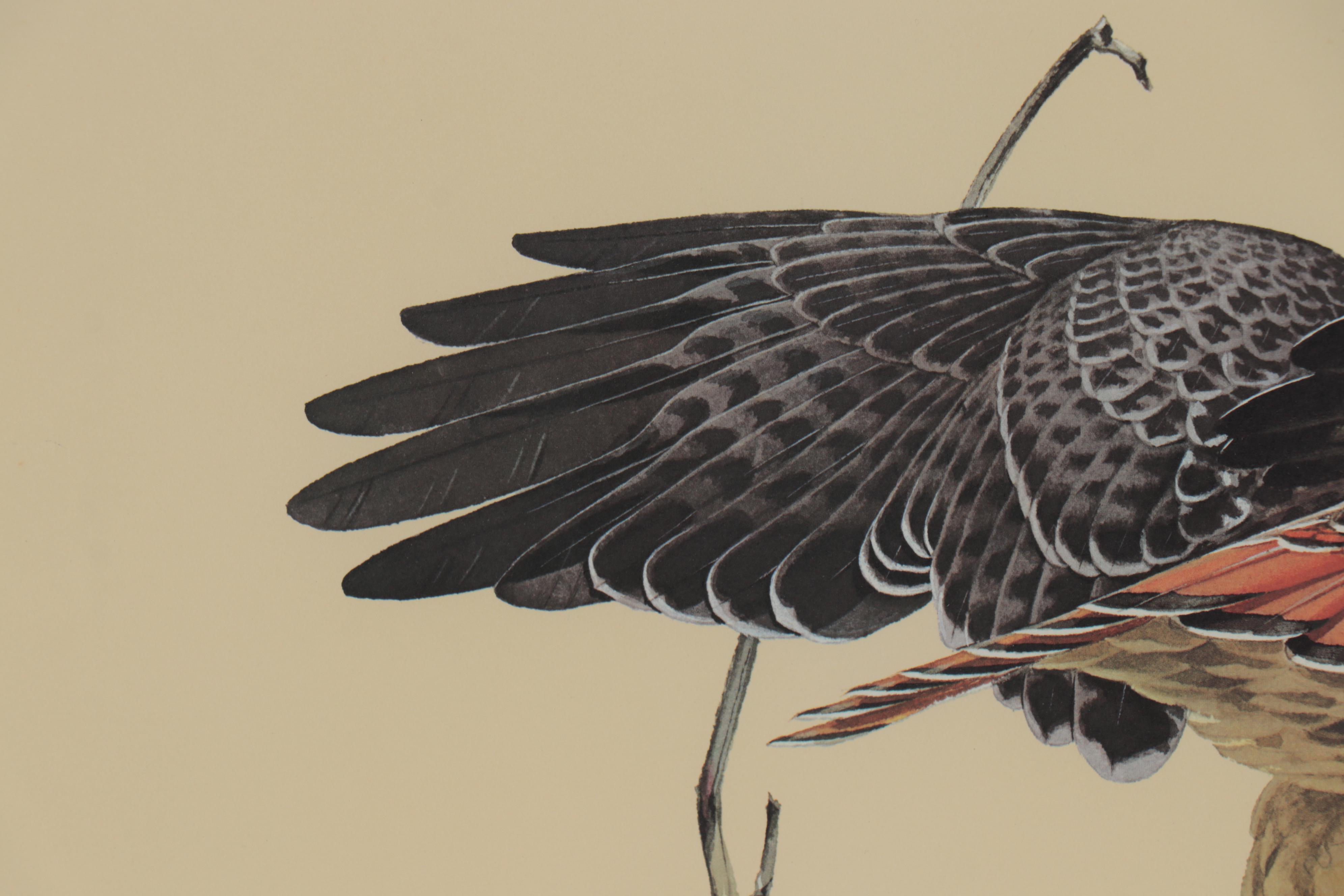 Guy Coheleach Offset Lithograph "The Redtail Hawk," 21st Century