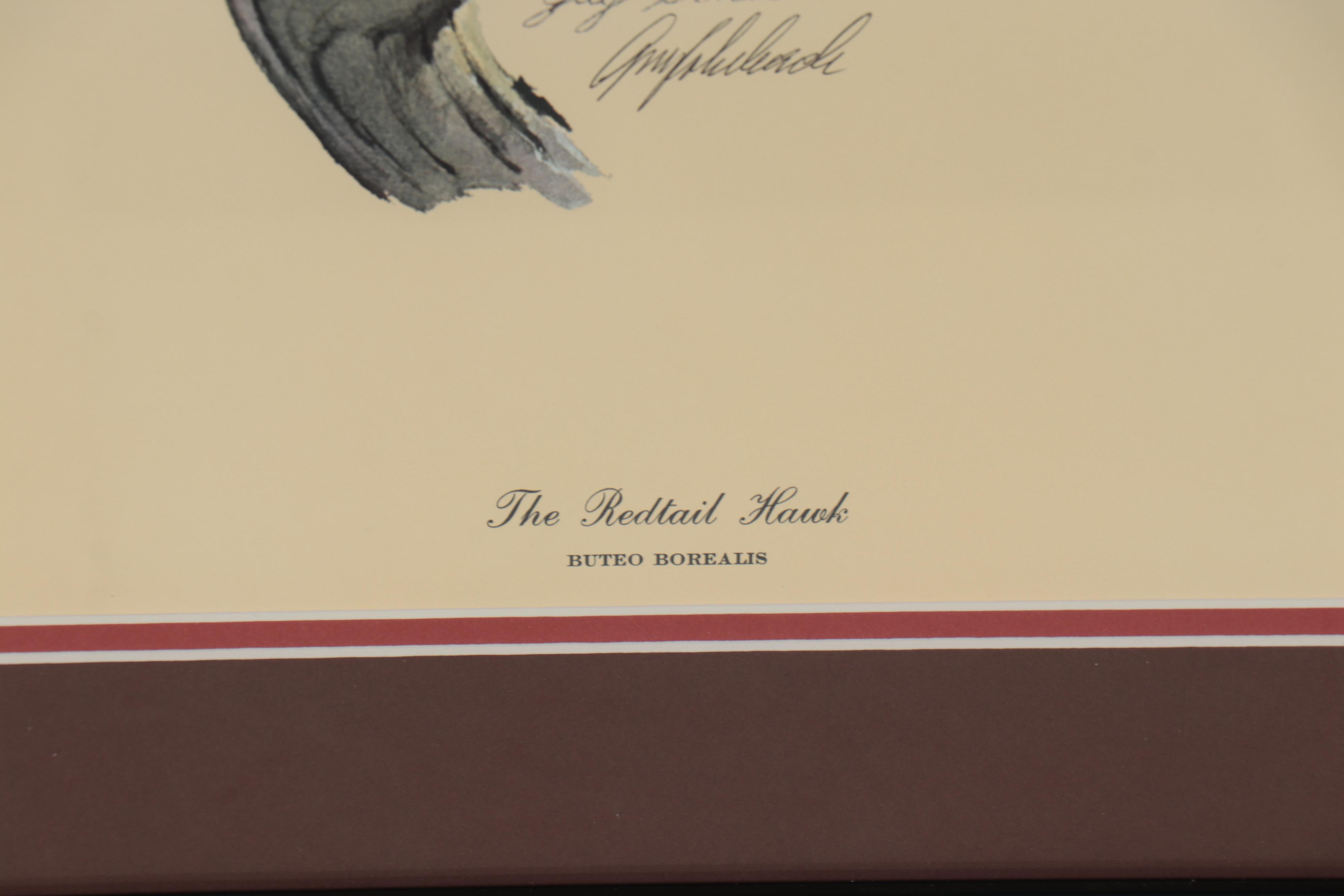 Guy Coheleach Offset Lithograph "The Redtail Hawk," 21st Century