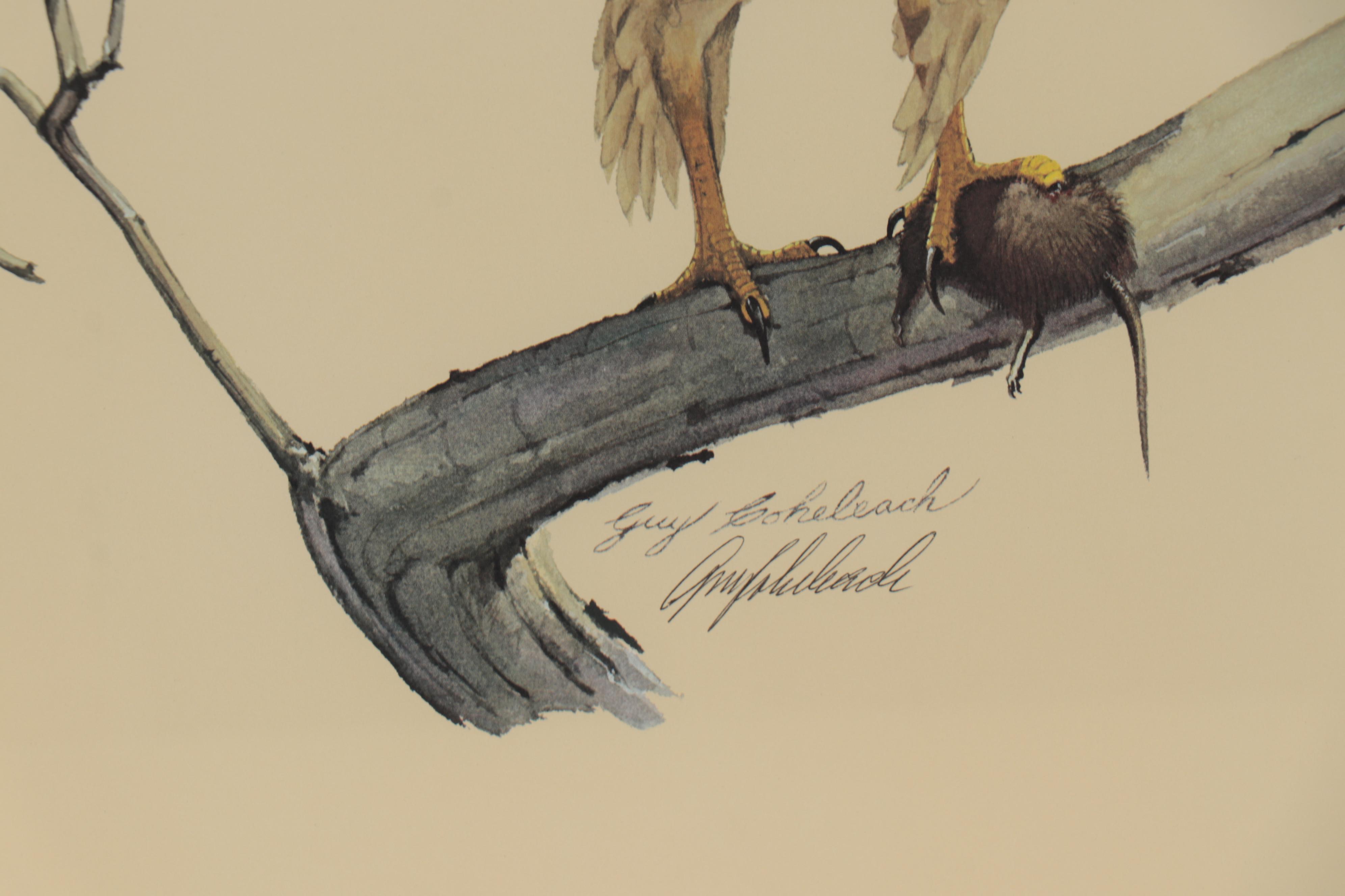 Guy Coheleach Offset Lithograph "The Redtail Hawk," 21st Century