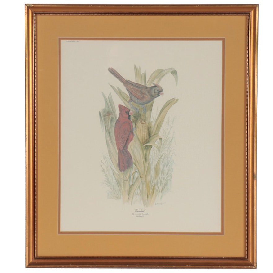 Offset Lithograph after E.D. Williams "Cardinals," Late 20th Century