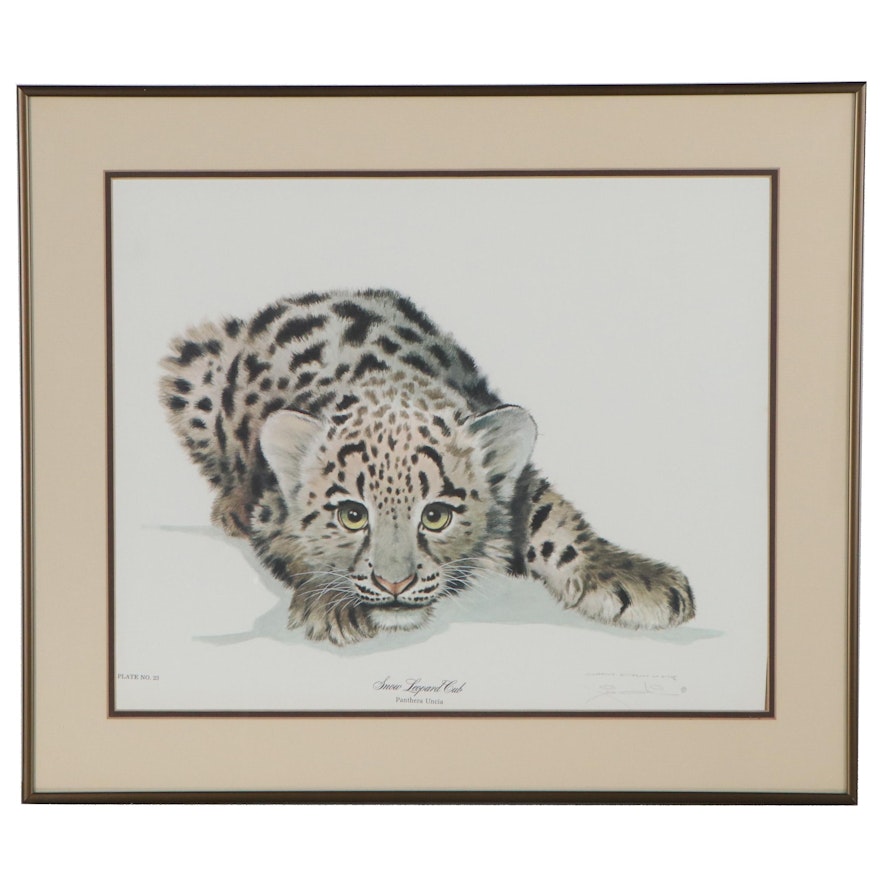 Offset Lithograph after Jim Oliver "Snow Leopard Cub," Late 20th Century