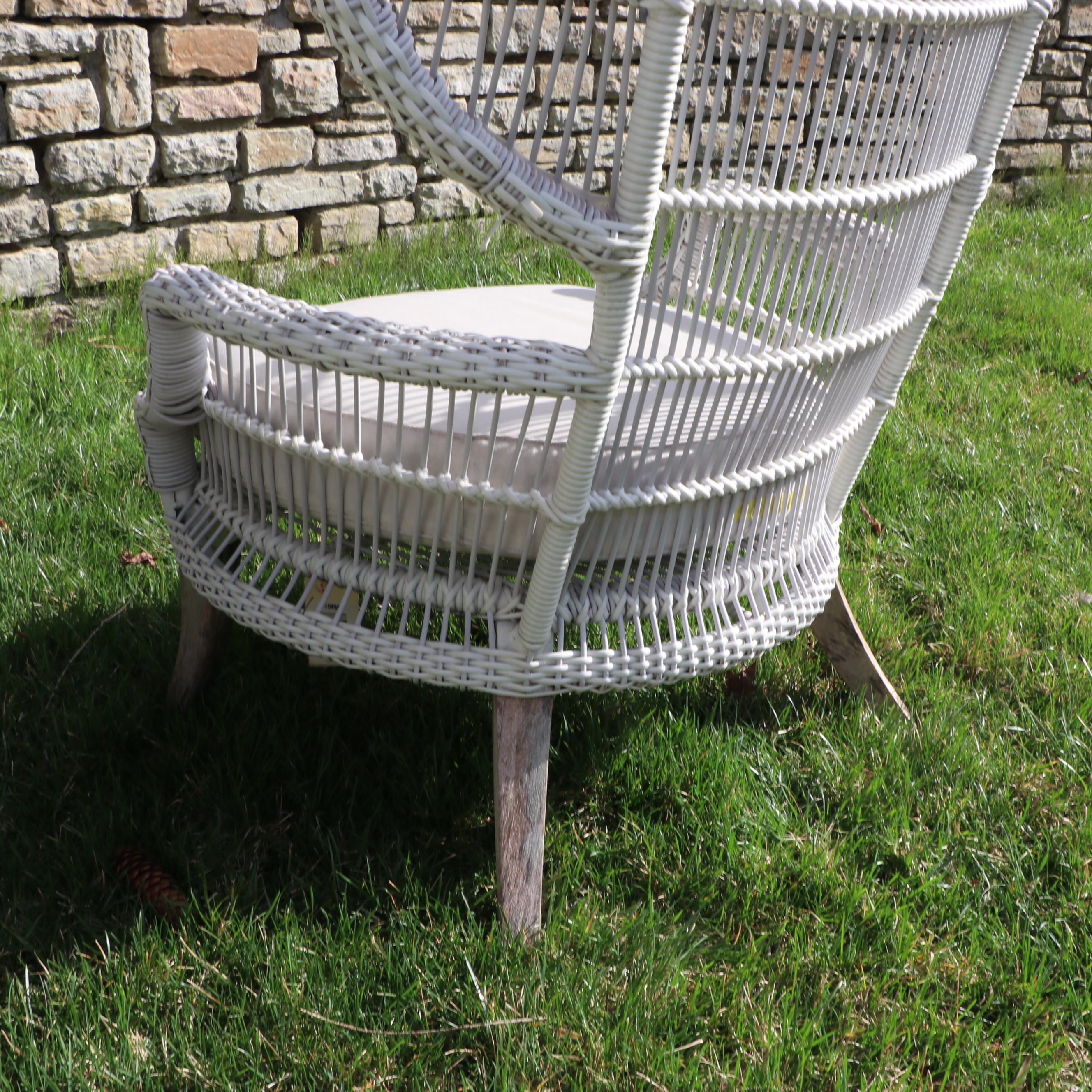 Pair of Outdoor White Painted Resin Wicker Peacock Chairs w/ Sunbrella Cushions