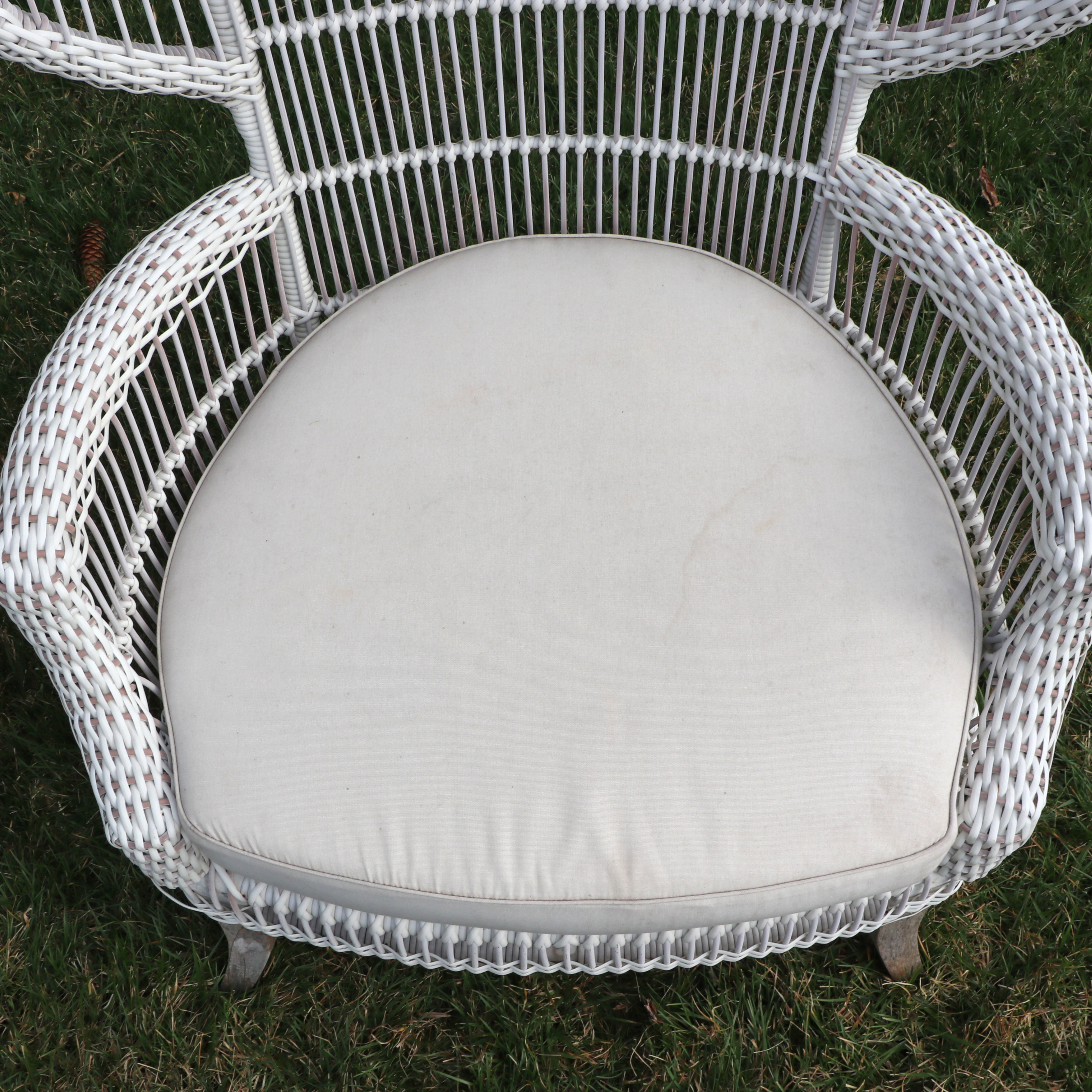Pair of Outdoor White Painted Resin Wicker Peacock Chairs w/ Sunbrella Cushions