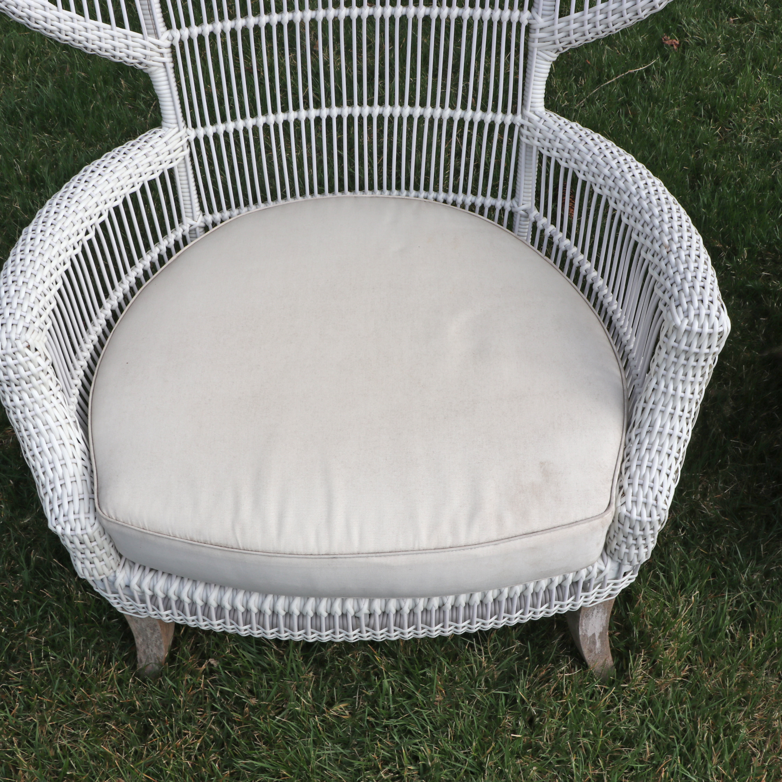 Pair of Outdoor White Painted Resin Wicker Peacock Chairs w/ Sunbrella Cushions