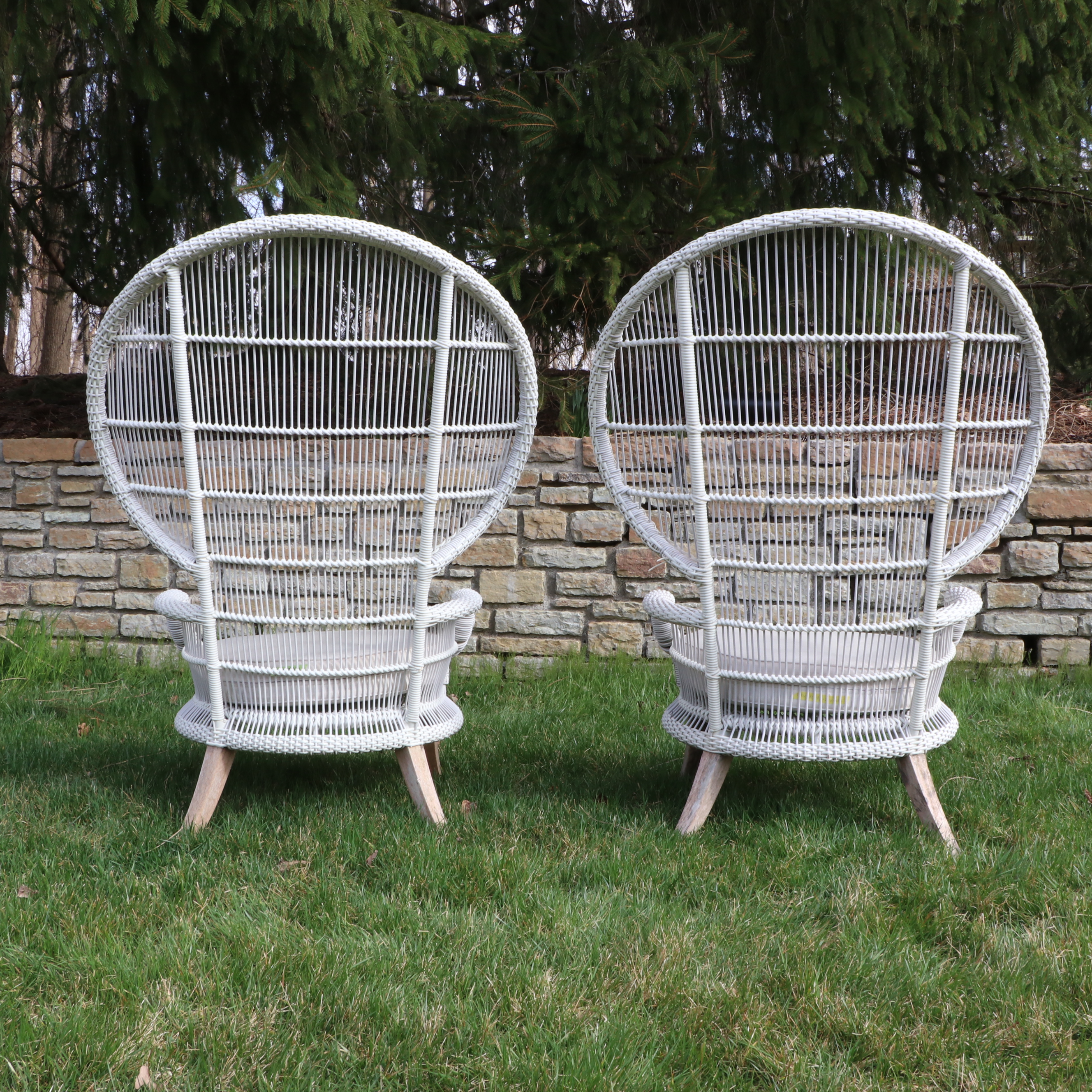 Pair of Outdoor White Painted Resin Wicker Peacock Chairs w/ Sunbrella Cushions