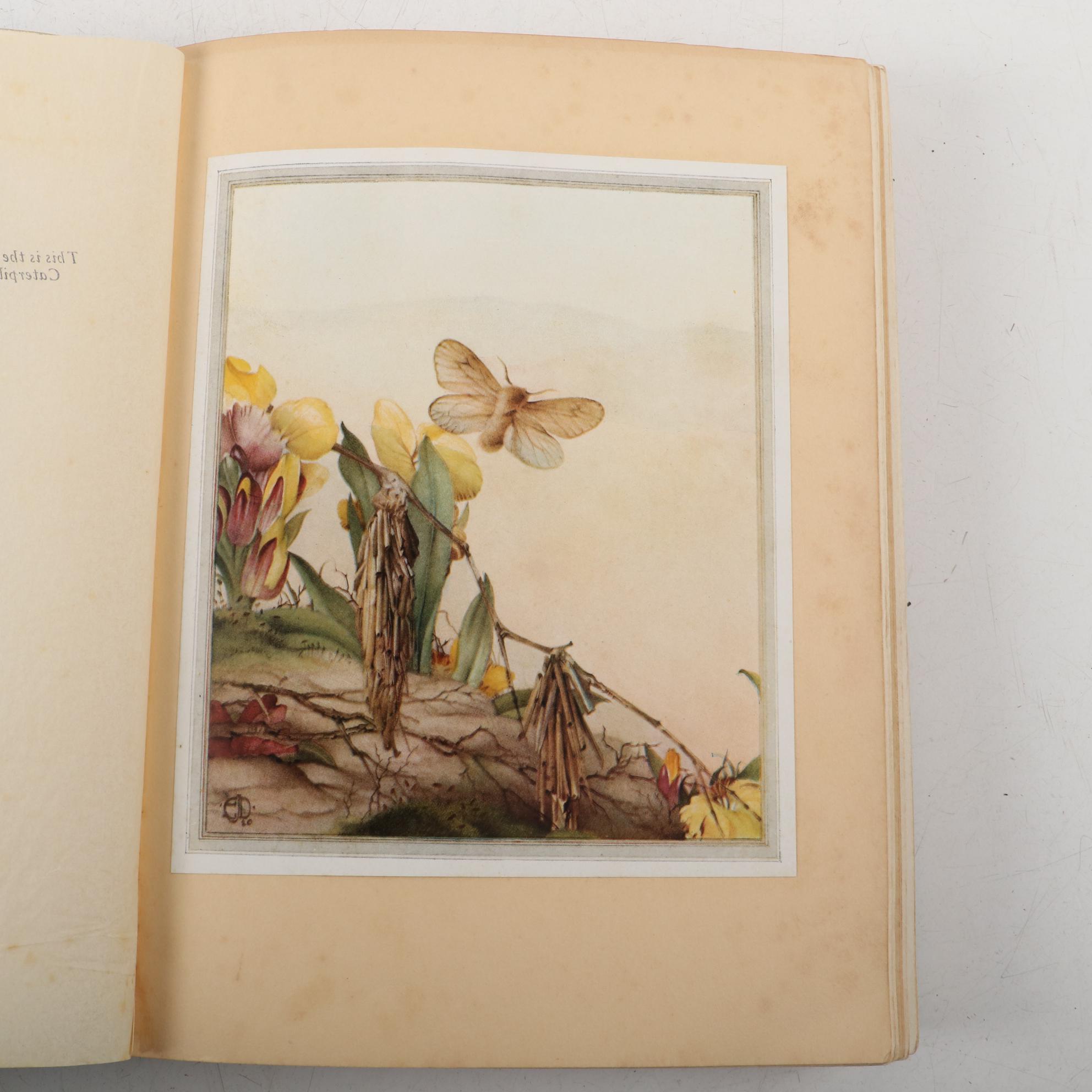 Illustrated "Fabre's Book of Insects" by Maud Margaret Key Stawell, 1935