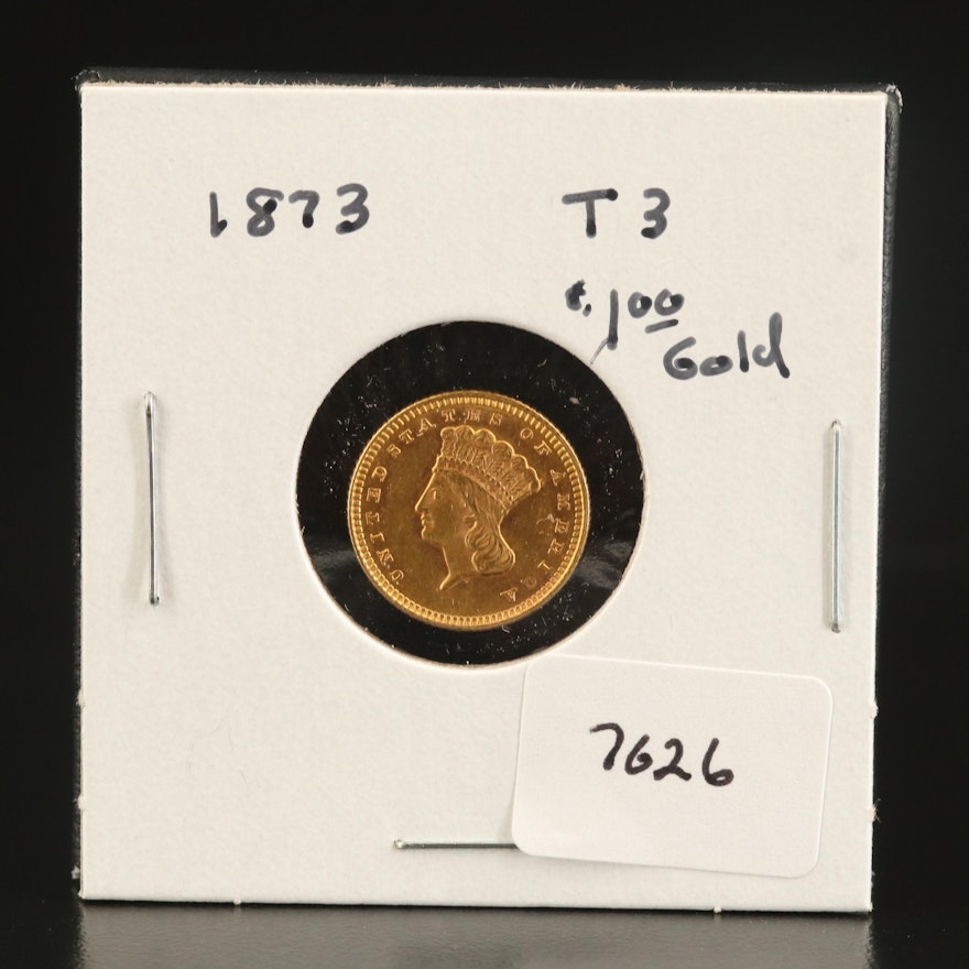1873 Indian Princess Head Type 3 Gold Dollar