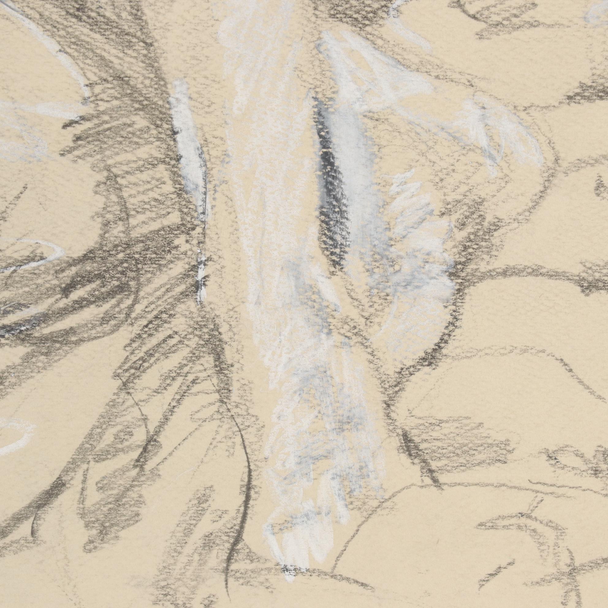Graphite and Colored Pencil Drawing of Reclining Female Nude, 2004