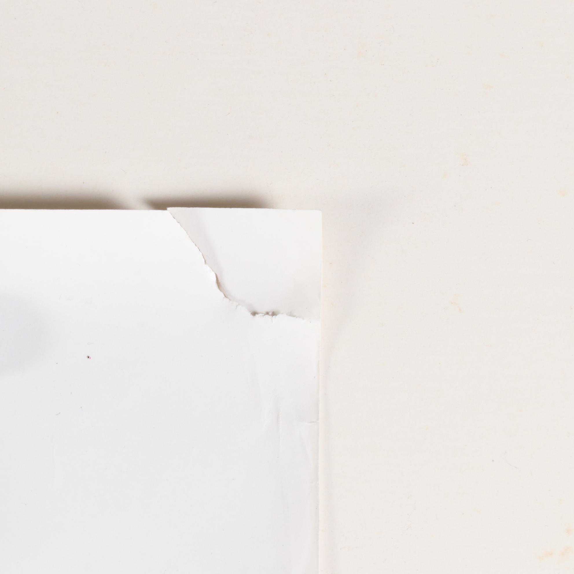 "Coming to America" Theatrical Release Movie Poster, 1988