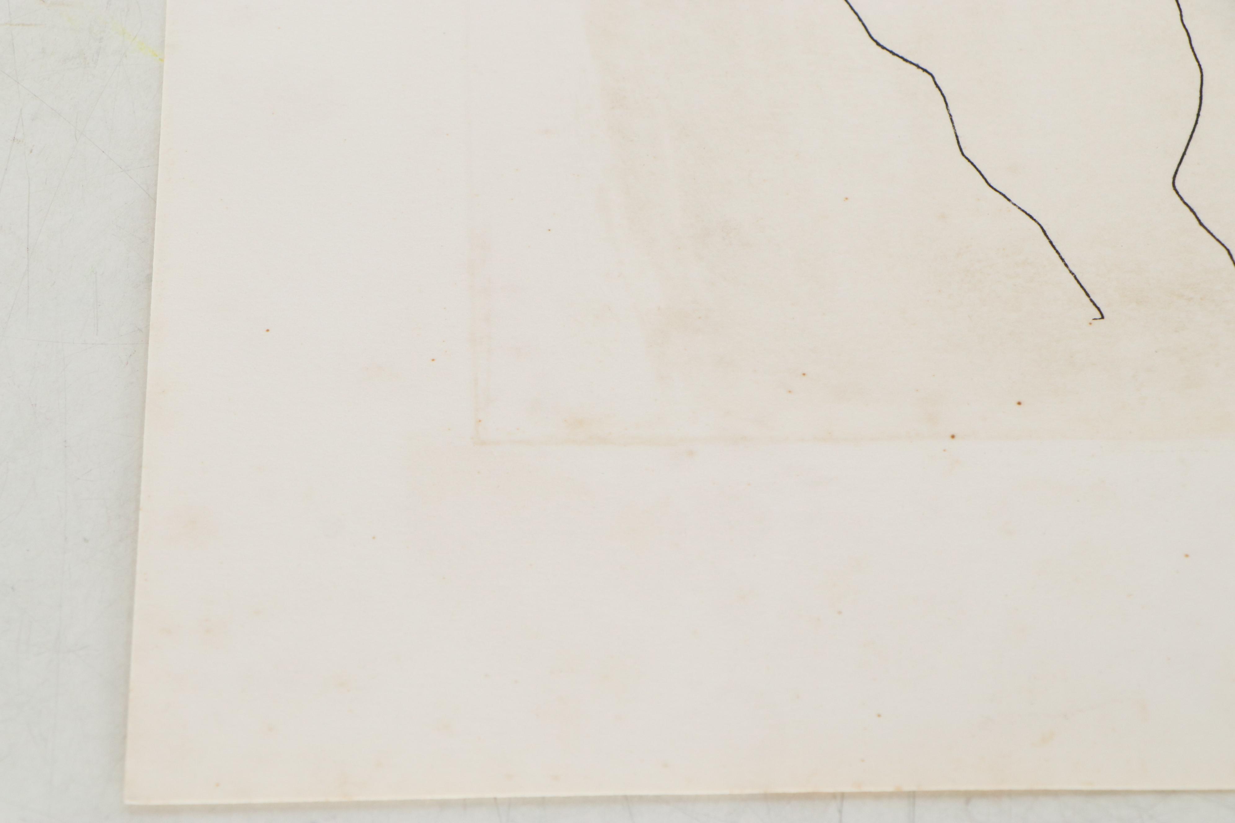 Restrike Etching after Pablo Picasso "Back of a Nude Woman (Femme nue de dos)"