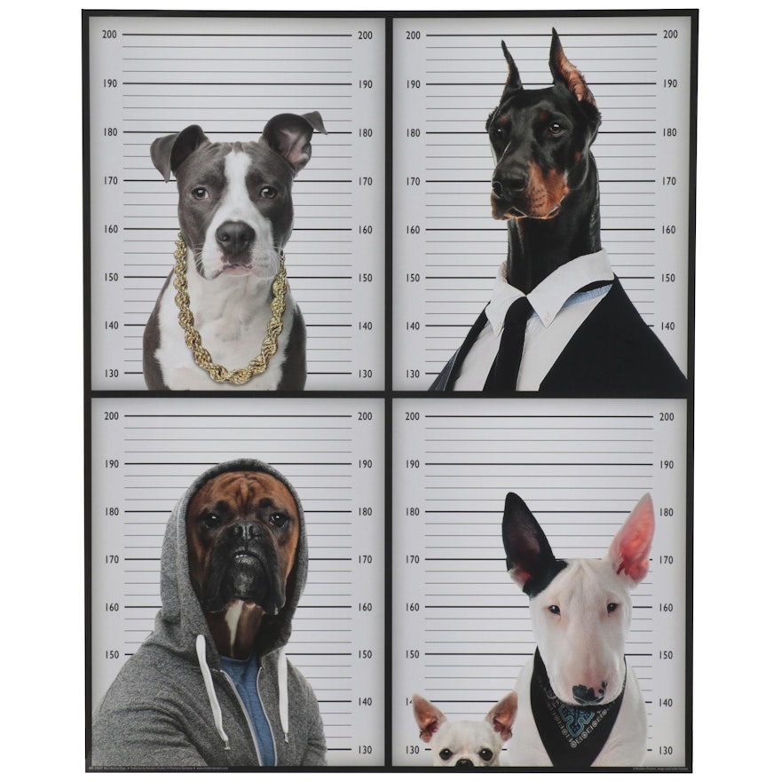 Offset Lithograph "Most Wanted Dogs," 21st Century