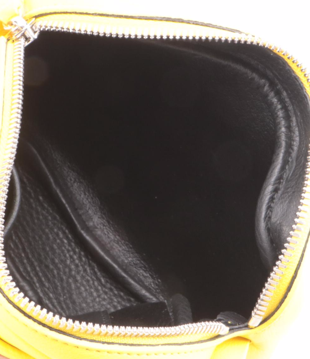 balenciaga cat camera bag