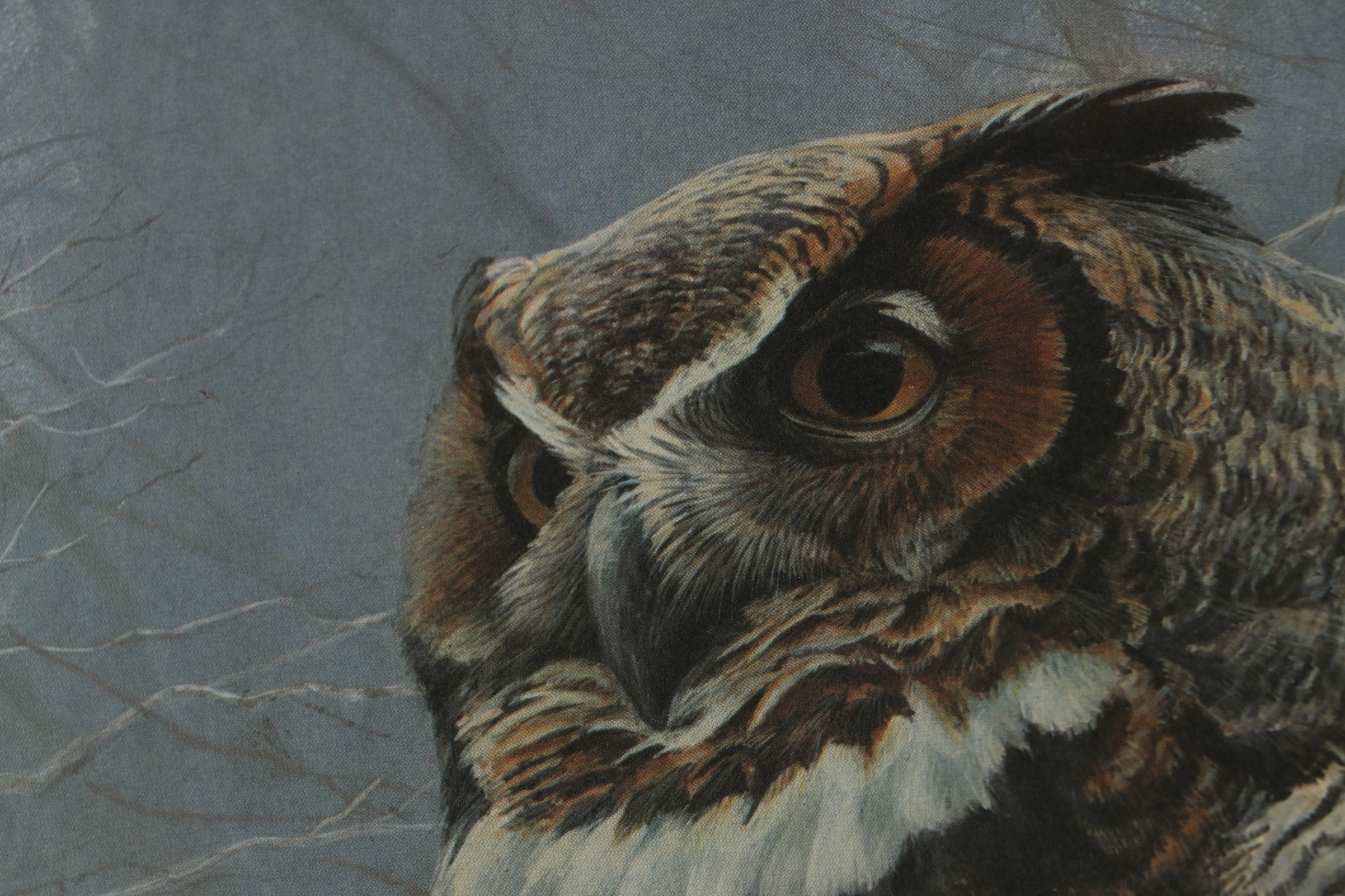 Robert Bateman Offset Lithograph "Winter Mist Great Horned Owl"
