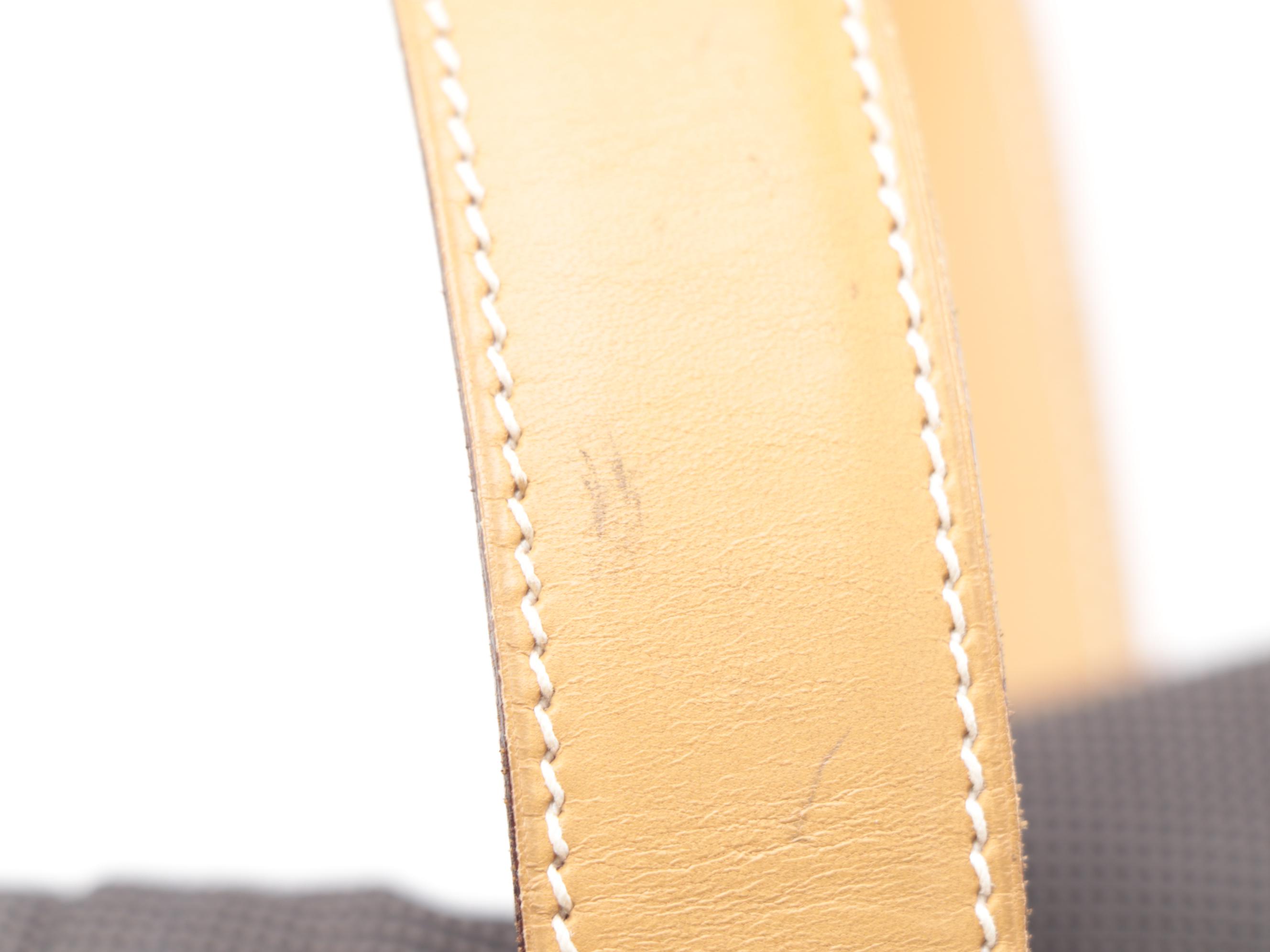 Hermès AIBO Carry Case in Cotton Canvas with Leather Trim