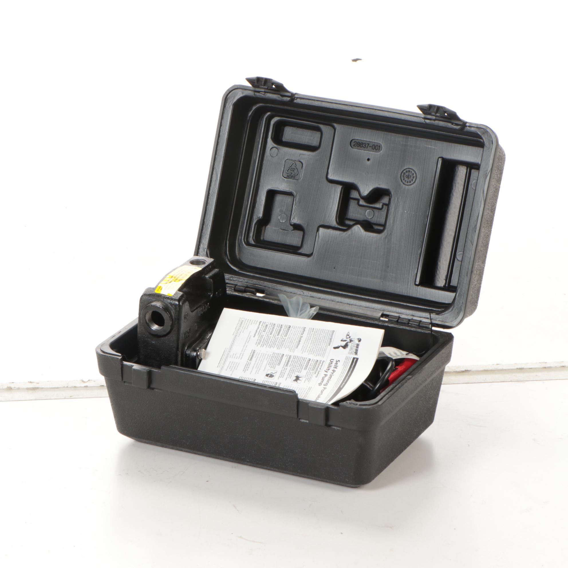 Blue Angel Pumps EC50K Transfer Utility Pump Kit, Contemporary