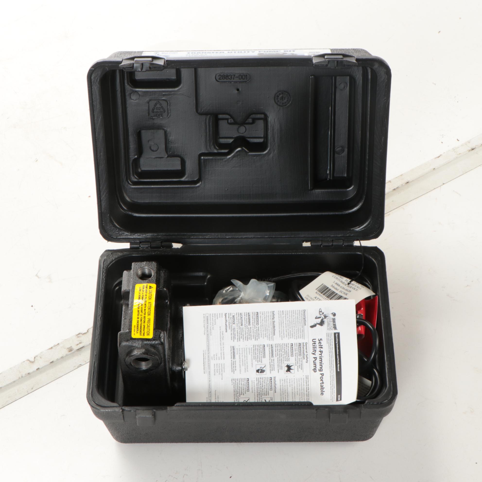 Blue Angel Pumps EC50K Transfer Utility Pump Kit, Contemporary