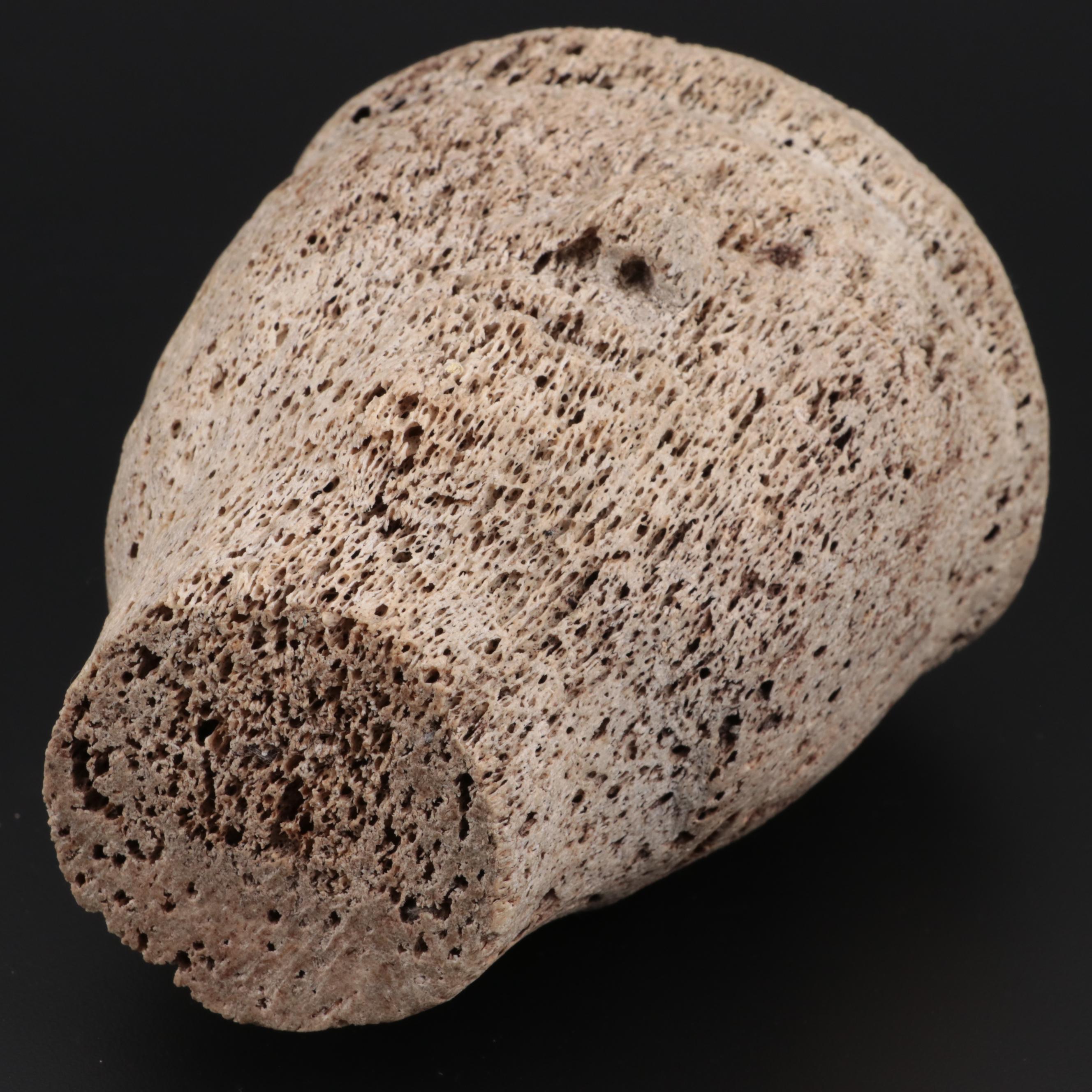 Inuit Carved Whale Bone Head Effigy