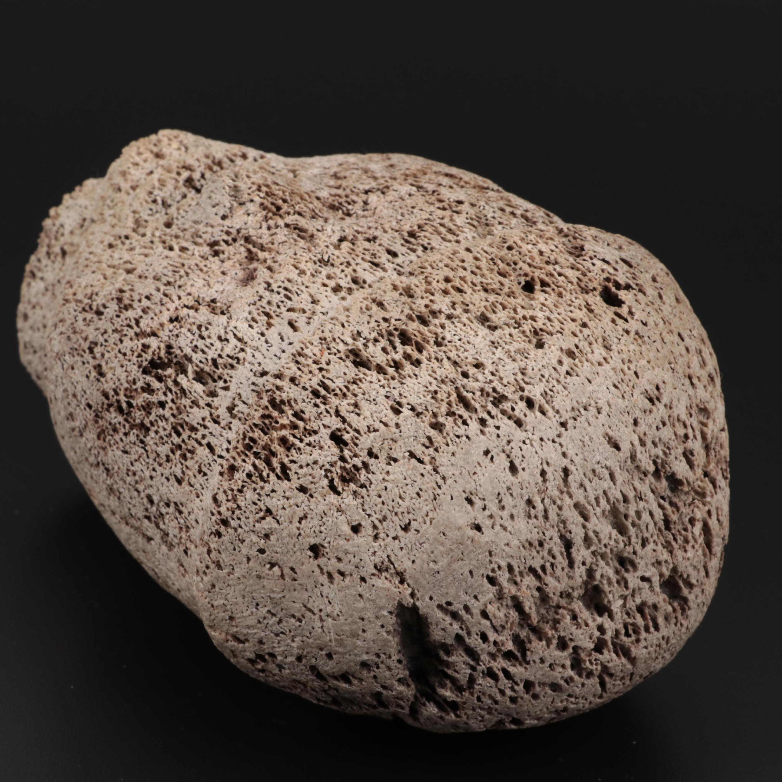 Inuit Carved Whale Bone Head Effigy