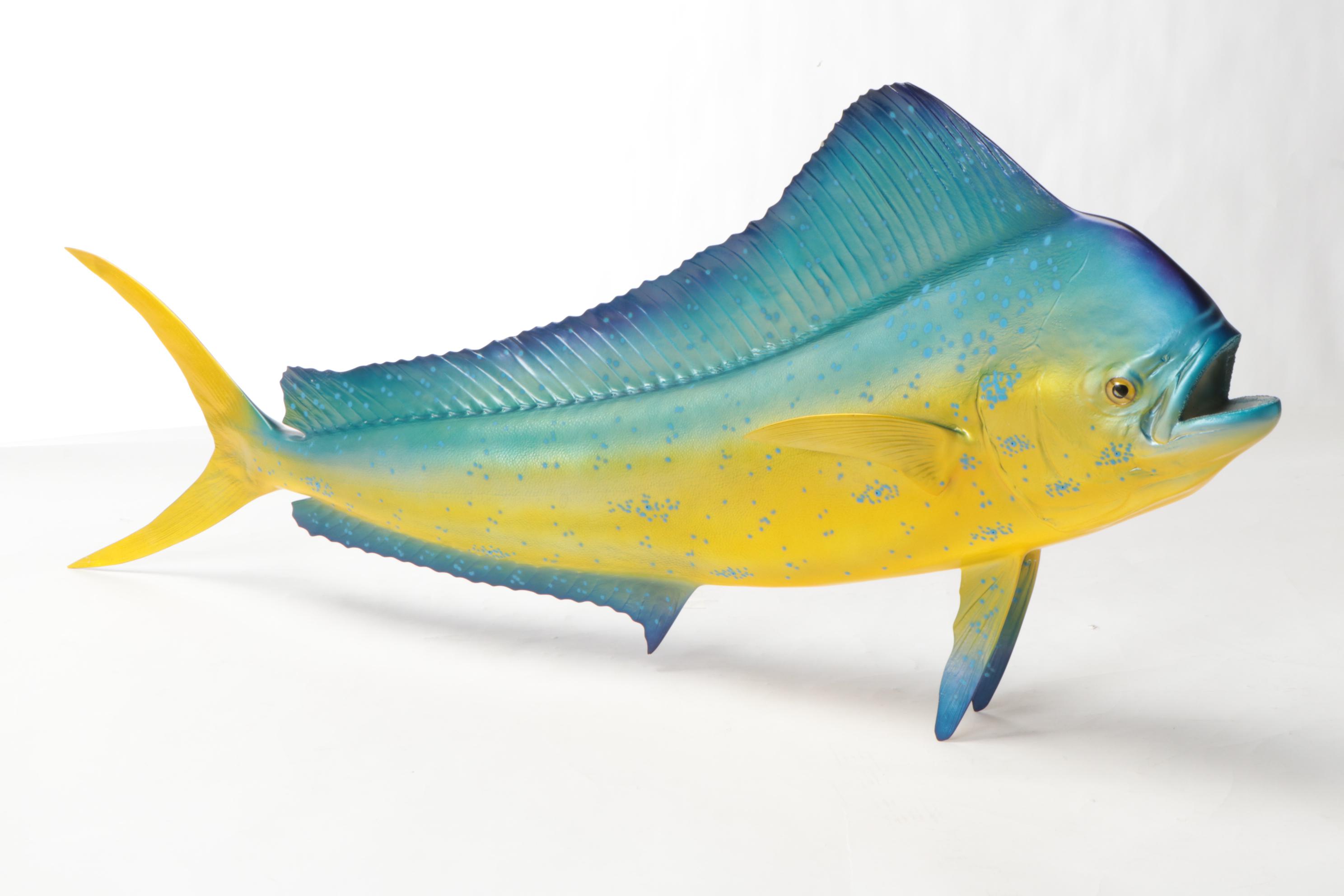 Mahi-Mahi Fish Replica Wall Mounts