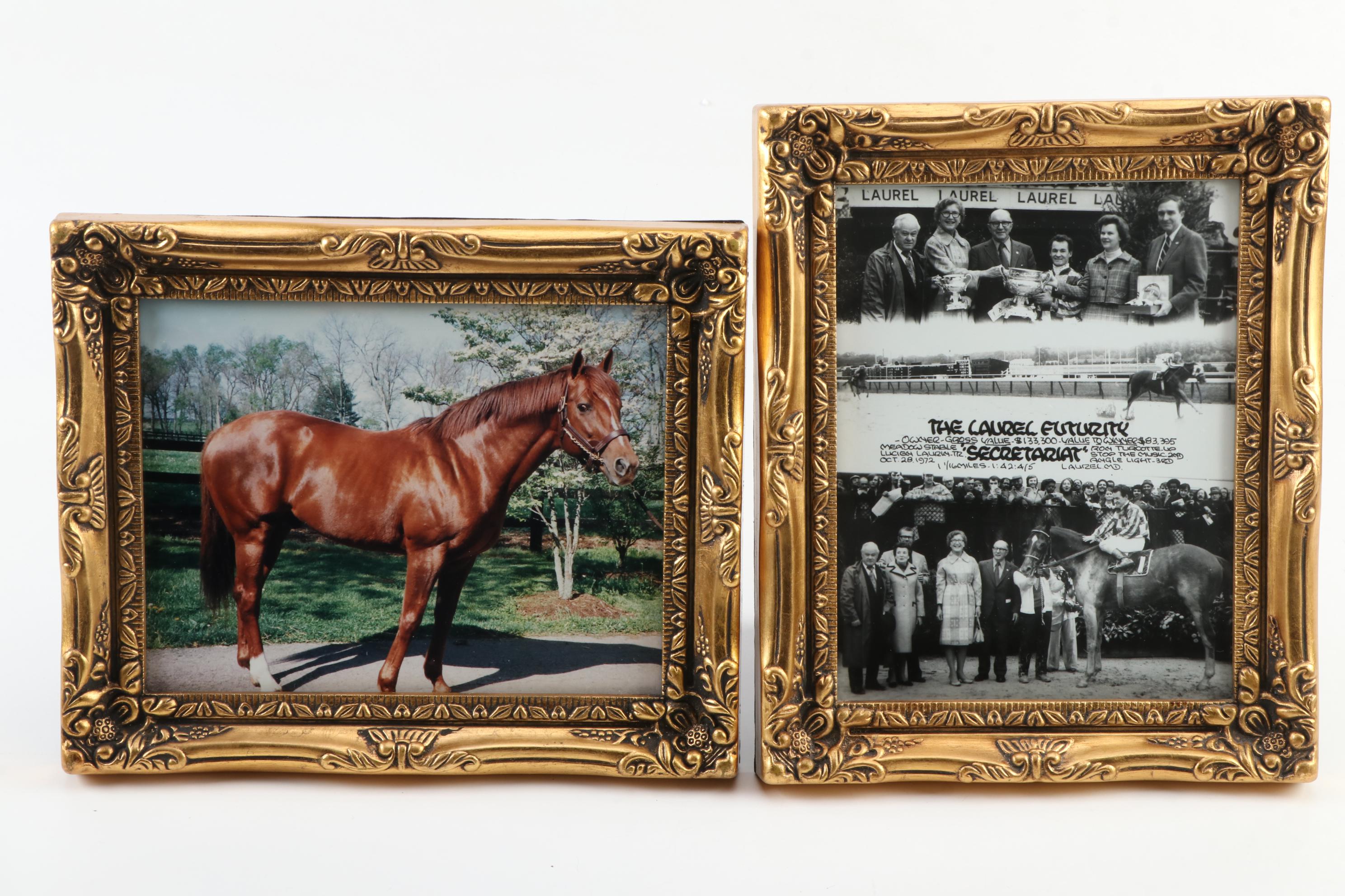Secretariat Winners Circle & Race Photos of The Belmont Stakes, Turcotte Signed