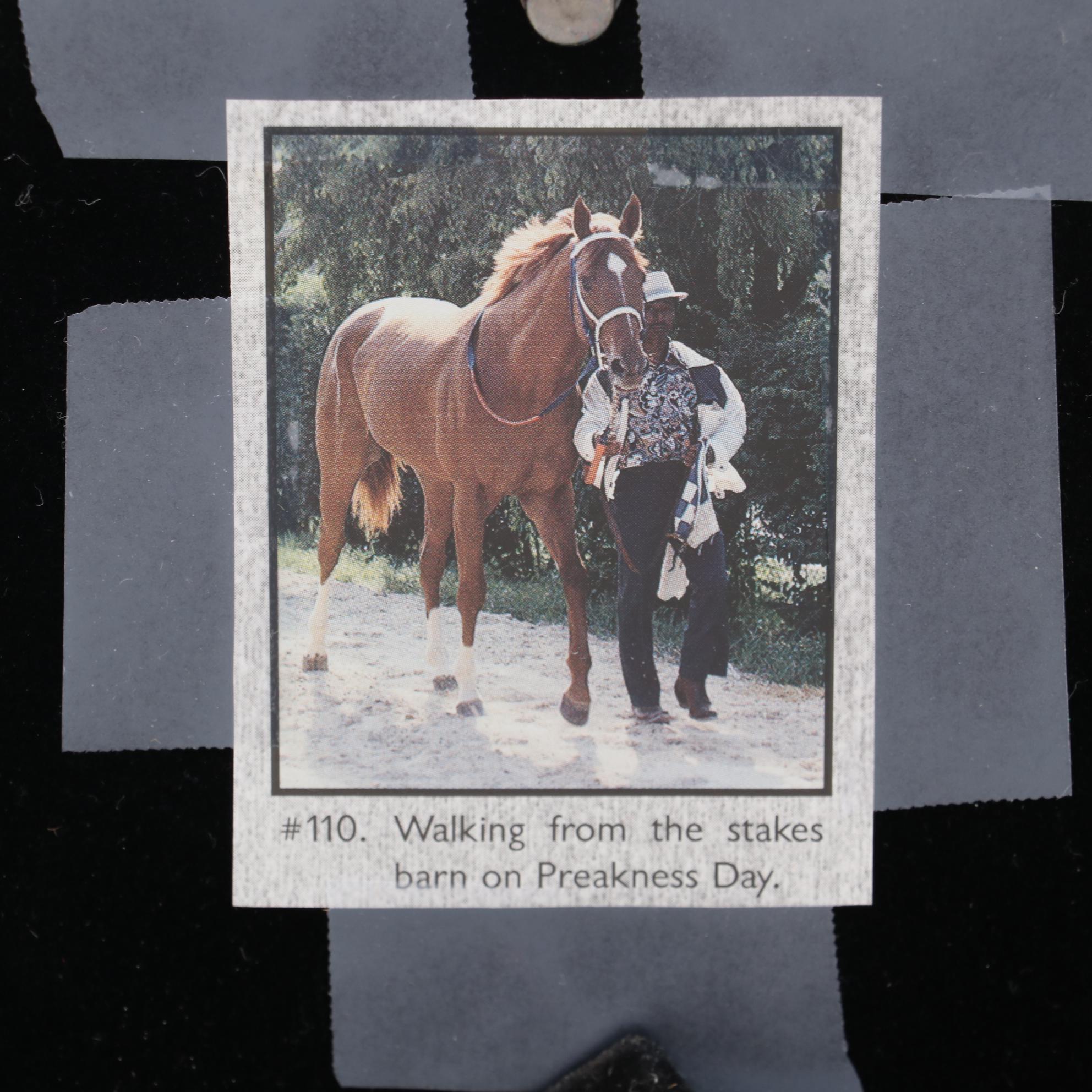 Secretariat Photo Collection, Penny Tweedy Owner and Eddie Maple Jockey Signed