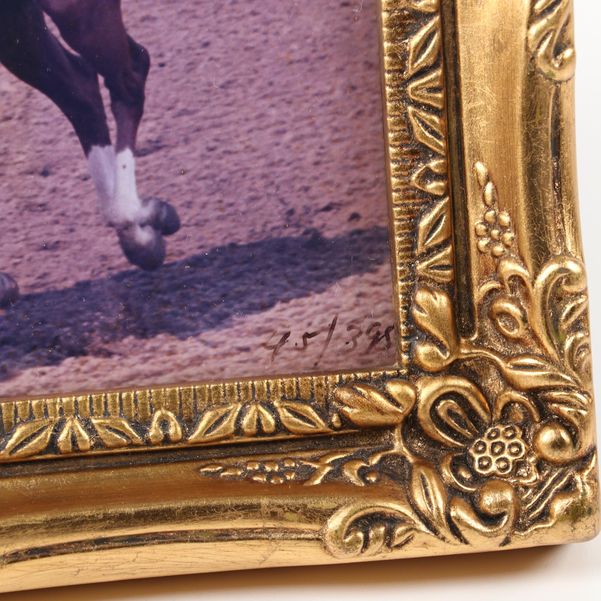 Secretariat Photo Collection, Penny Tweedy Owner and Eddie Maple Jockey Signed