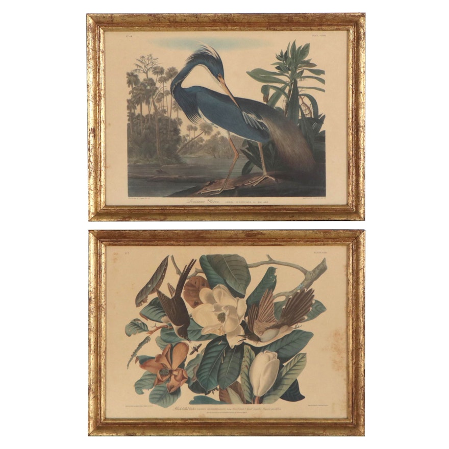 Offset Lithographs after Robert Havell and John James Audubon, Late 20th Century