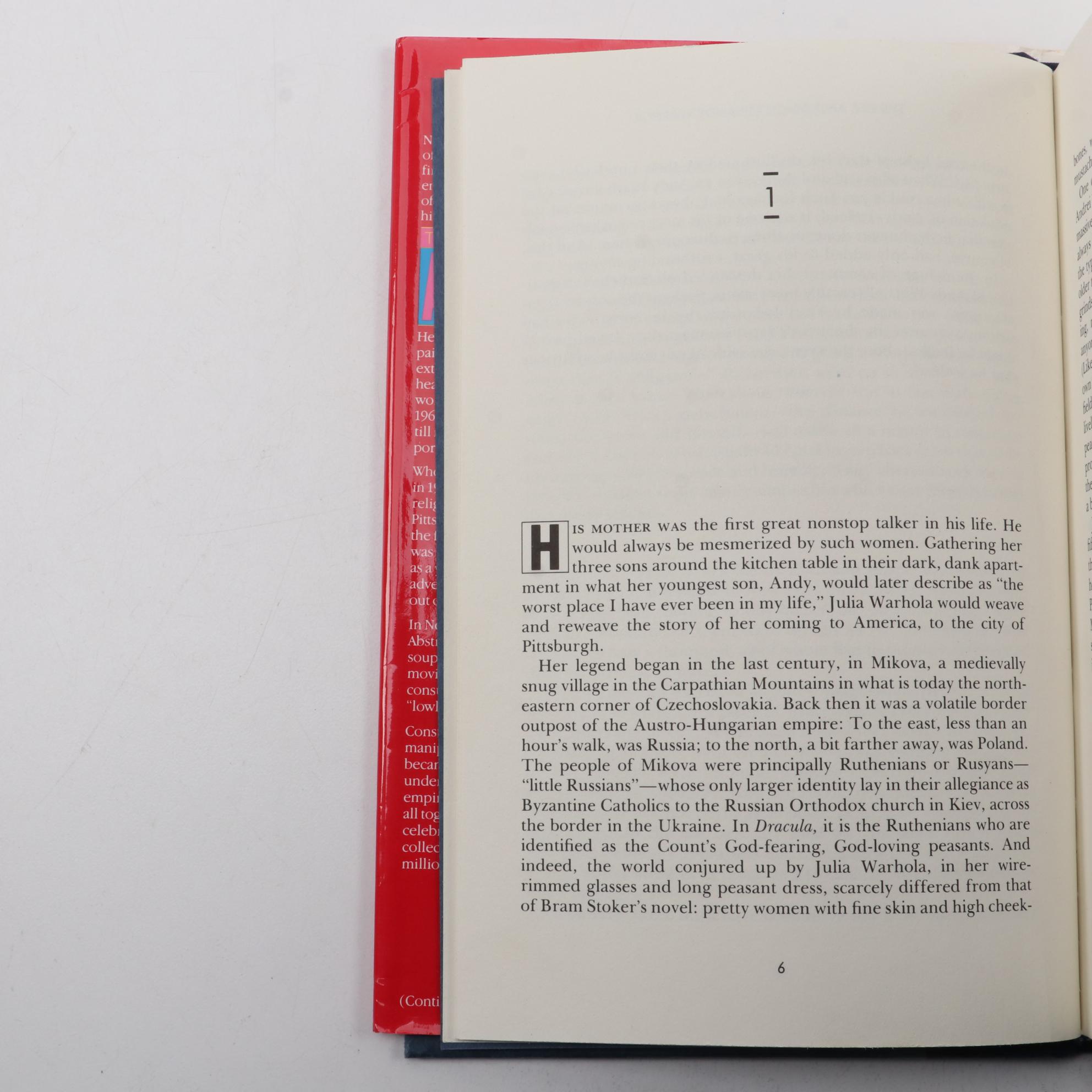 First Edition "The Life and Death of Andy Warhol" and More Warhol Books