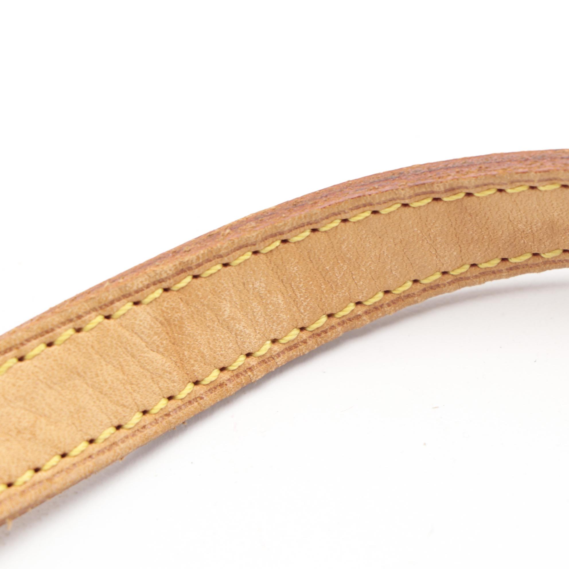 Louis Vuitton Musette Tango Flap Bag in Monogram Canvas