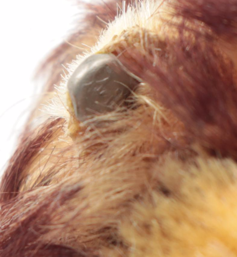 Steiff Stuffed Wild Animals Including Elephant, Lion, Zebra and More