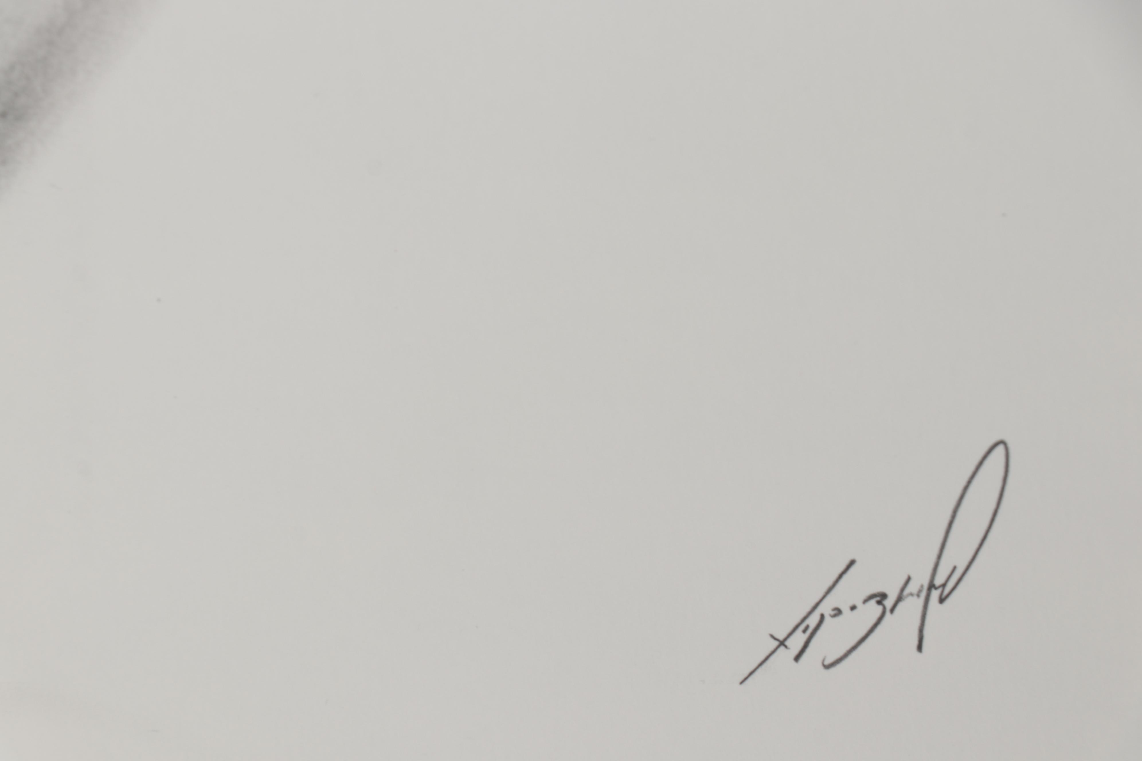 Graphite Half Portrait Drawing, 21st Century