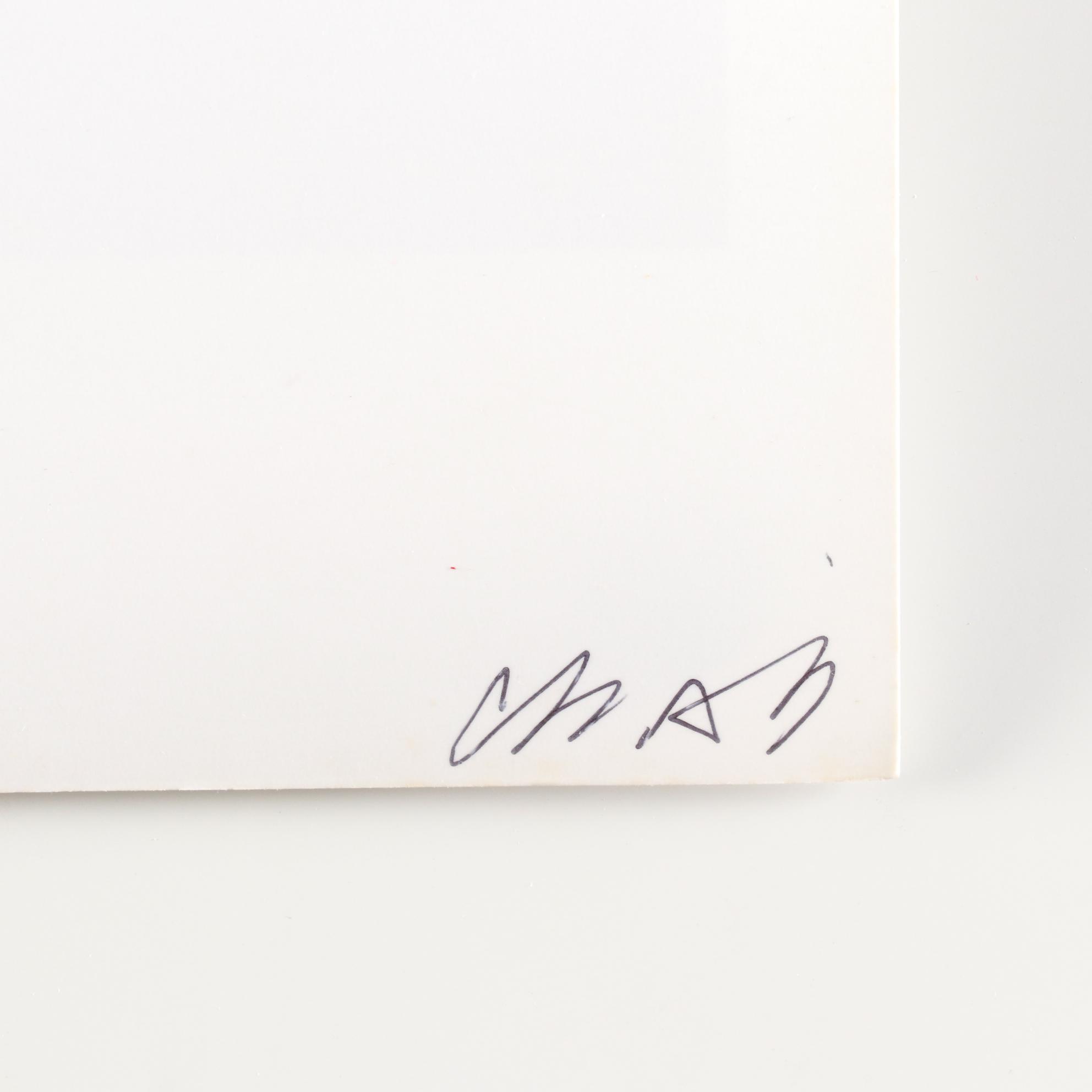 Sheila Ali Black and White Photographs of Anti-Flag Punk Band, 1990s