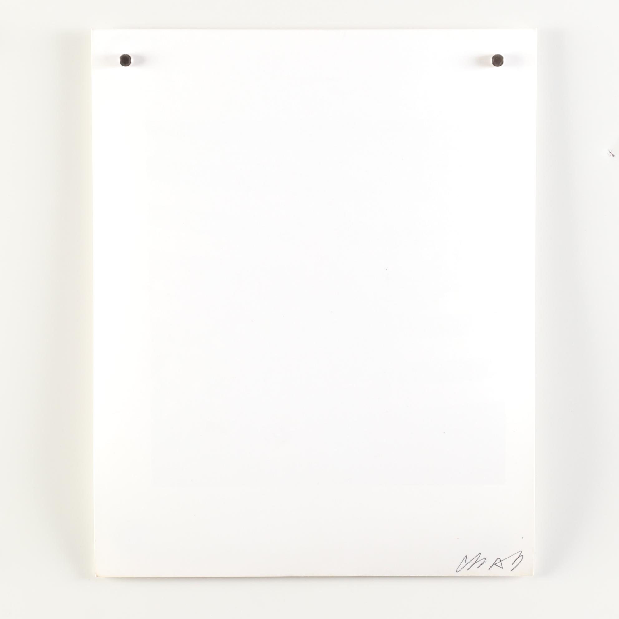 Sheila Ali Black and White Photographs of Anti-Flag Punk Band, 1990s