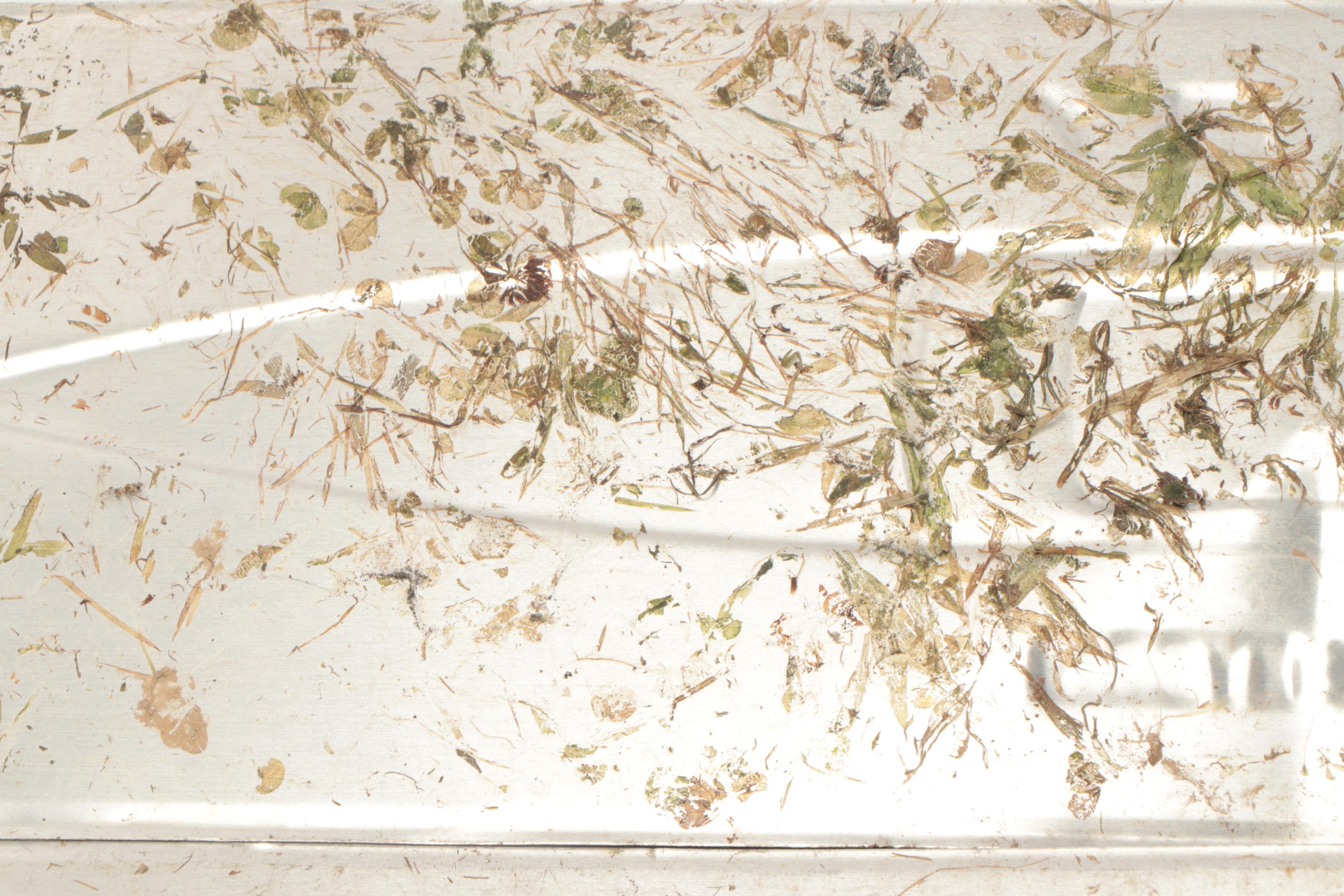 "Sparks Premium Malt Beverage with Caffeine" Metal Advertising Signs