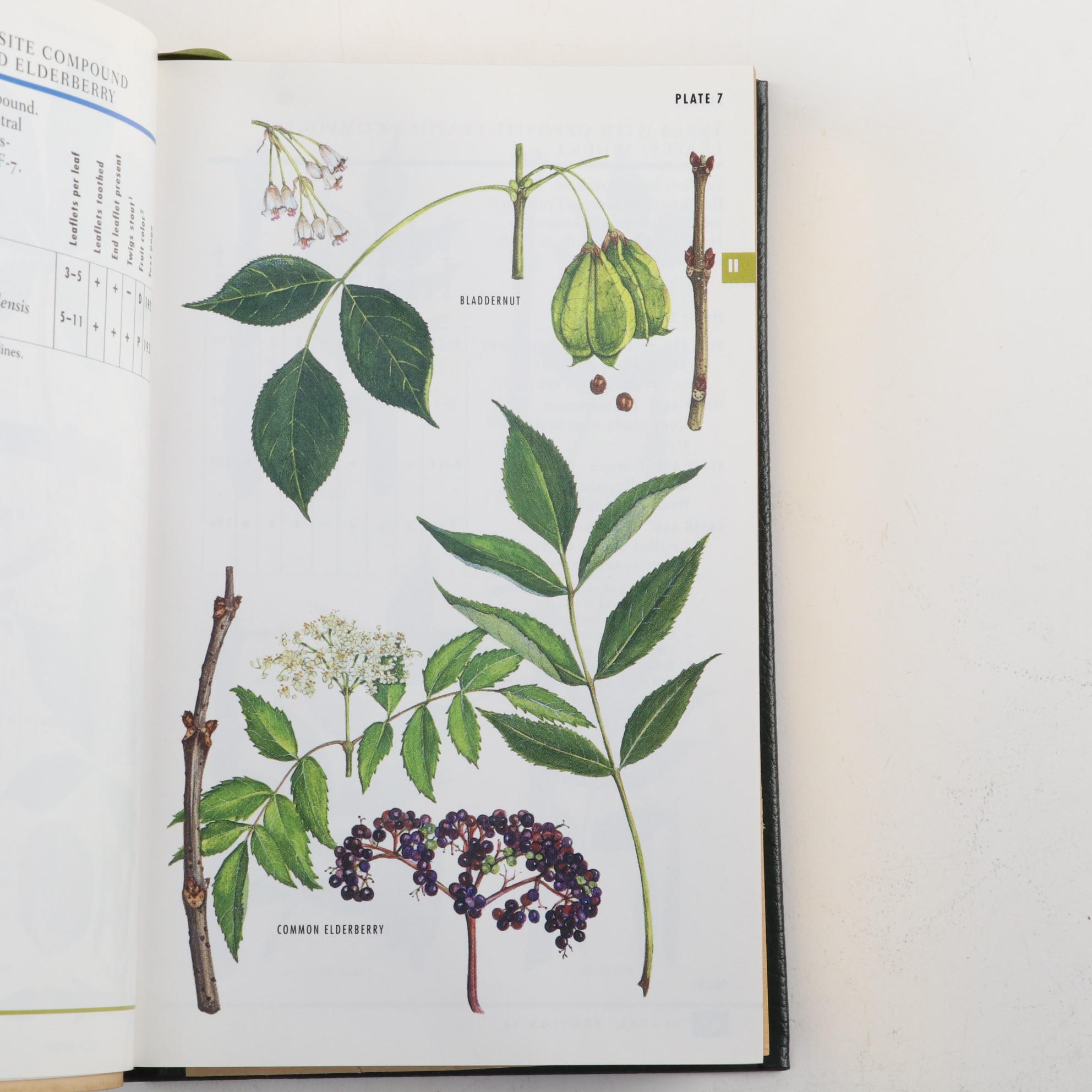 Easton Press Roger Tory Peterson Field Guides Including "Advanced Birding"